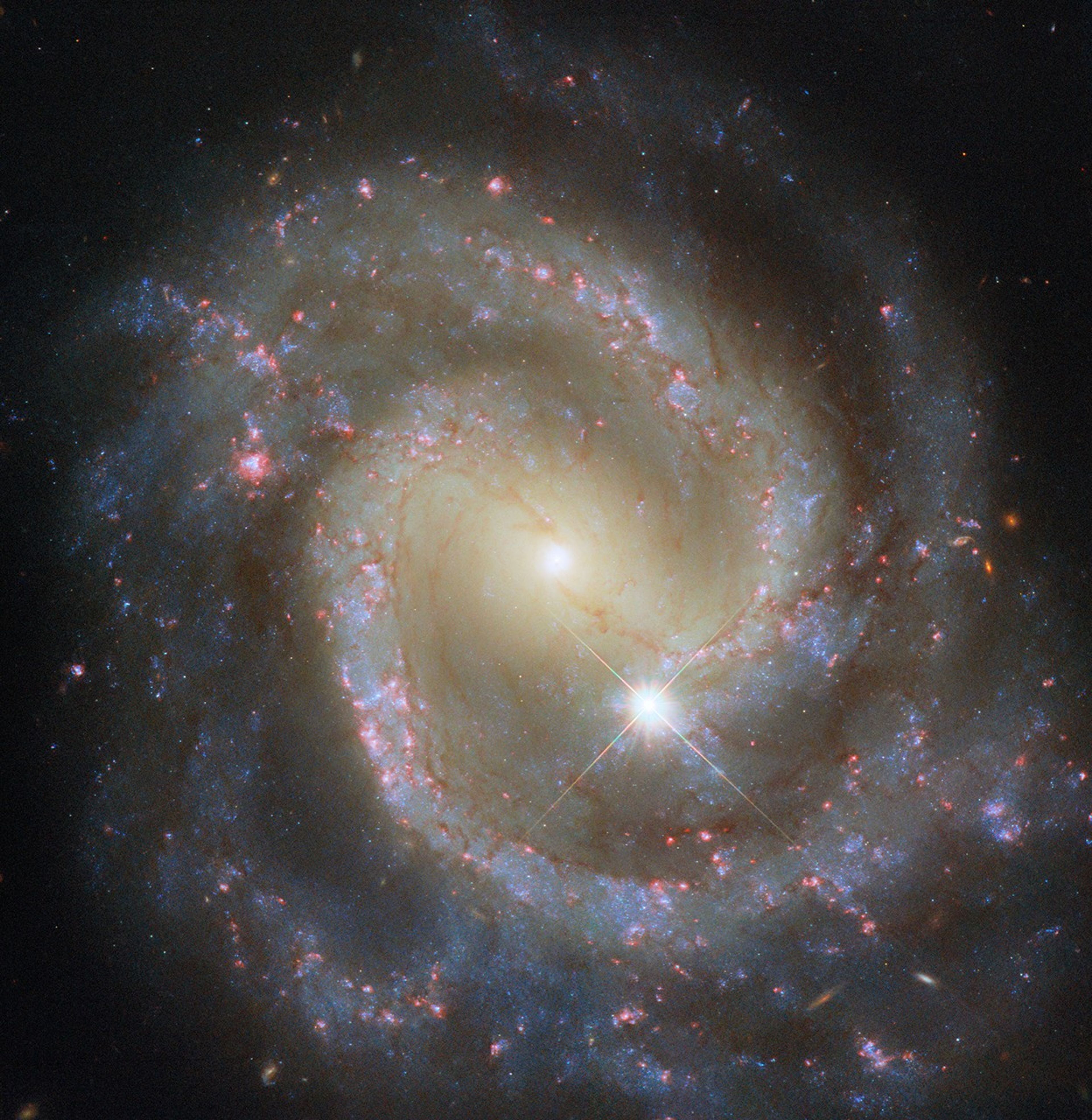 A spiral galaxy seen face-on. Across its center, a broad bar of blazing stars shines. A glowing spiral arm extends from each end of this bar, both making almost a full turn through the galaxy’s disk before fading out. The arms contain sparkling blue stars, pink spots of star formation, and dark threads of dust that follow both spiral arms into and across the central bar. A foreground star sits atop the galaxy.