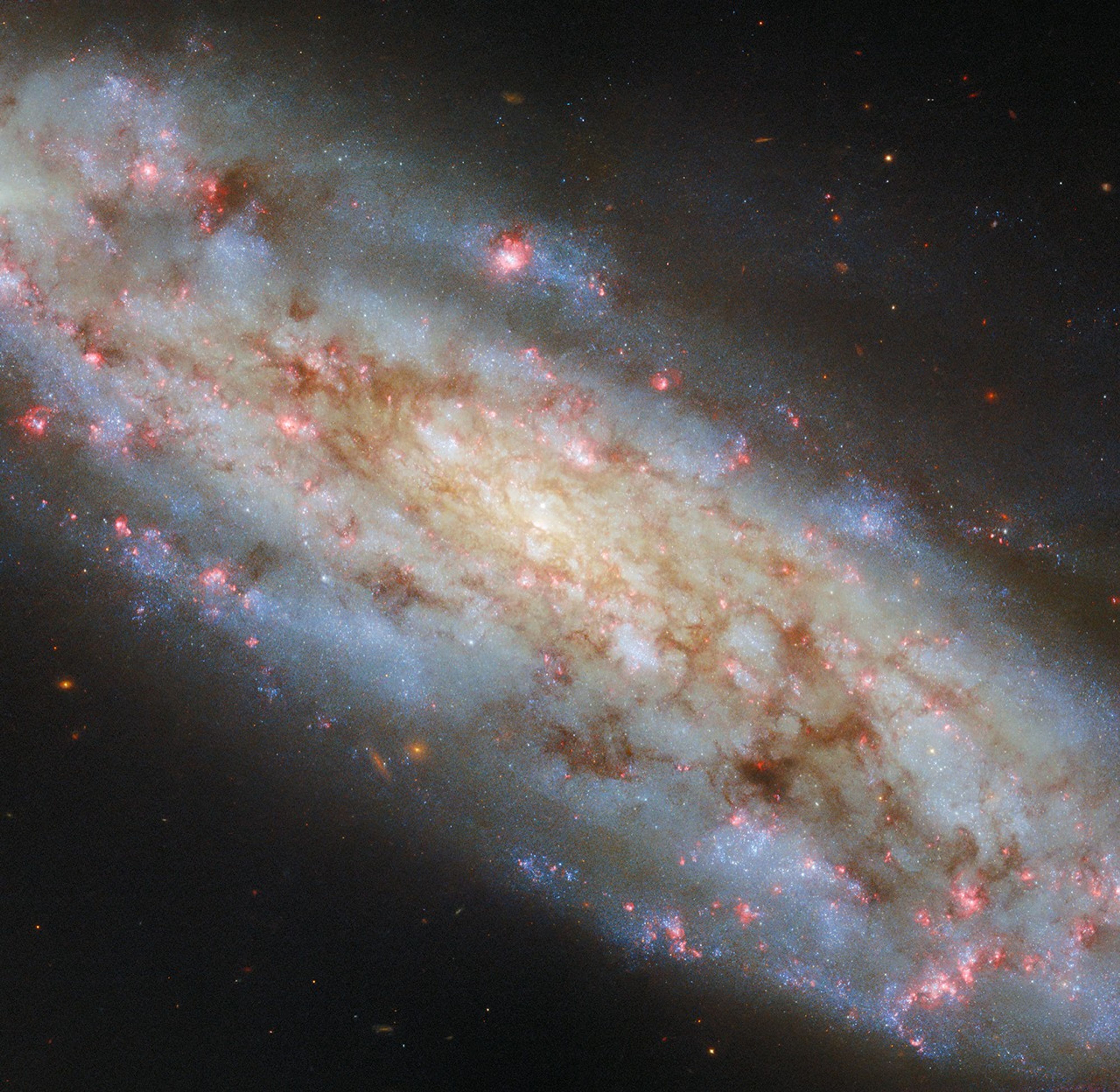 A spiral galaxy in space. It is visible at a tilted angle and appears as a stormy disk filled with clouds of stars and dust. It is colored more yellowish in the center, and bluer out toward the edge of the disk, where the ends of curved spiral arms break away from the disk. Spots of red light scattered through the galaxy mark where stars are actively forming. The galaxy is on a black background.
