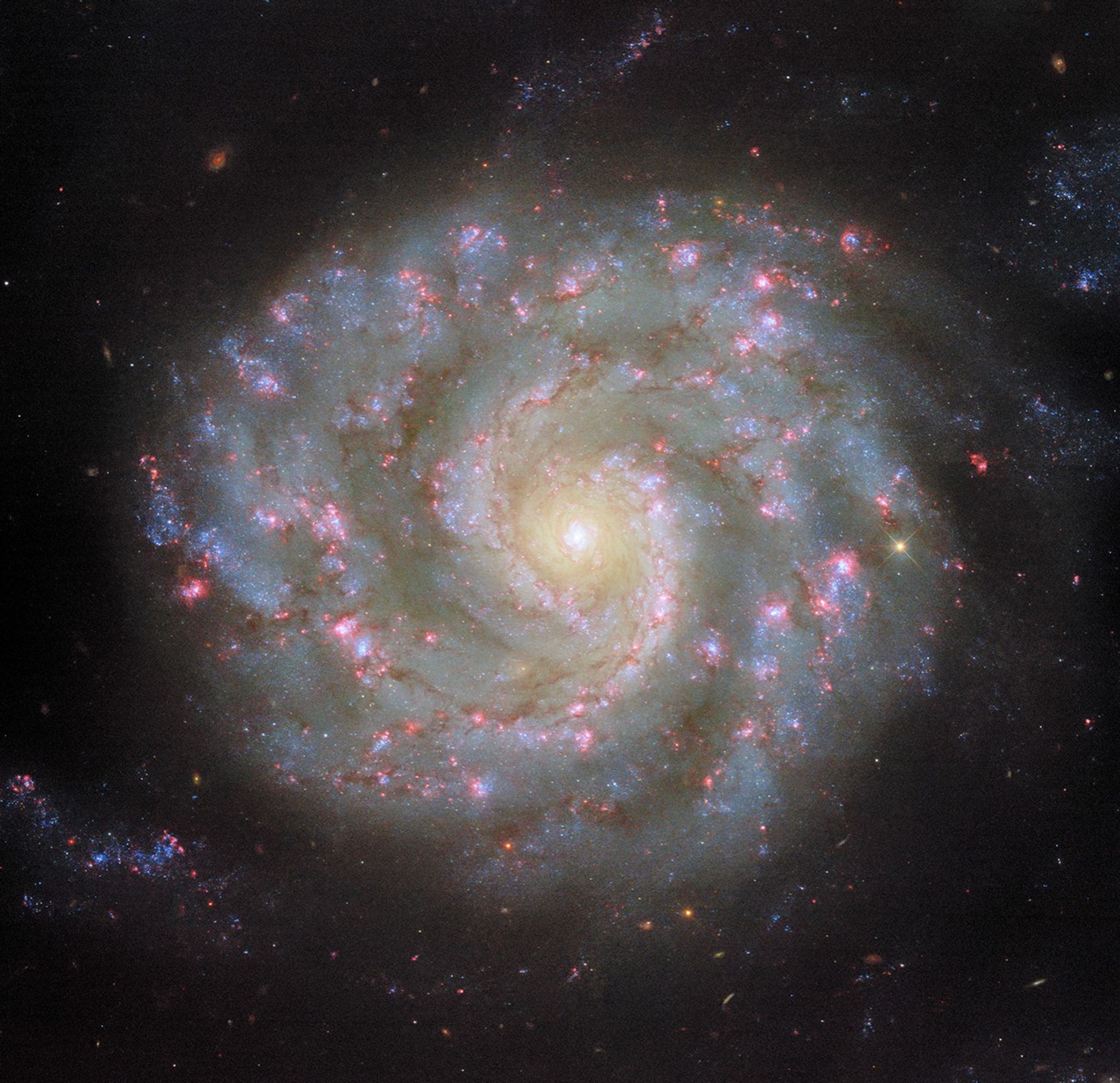 A spiral galaxy viewed face-on, with a slightly oval-shaped disk. The galaxy’s center appears as a bright white spot surrounded by a golden glow. Two spiral arms extend out from the center, wrapping around the galaxy and broadening out to form the thick outer edge of the disk. Thin reddish strands of dust and bright pink spots follow the arms through the disk. Faint strands of stars extend from the tips of the spiral arms and out beyond the disk.