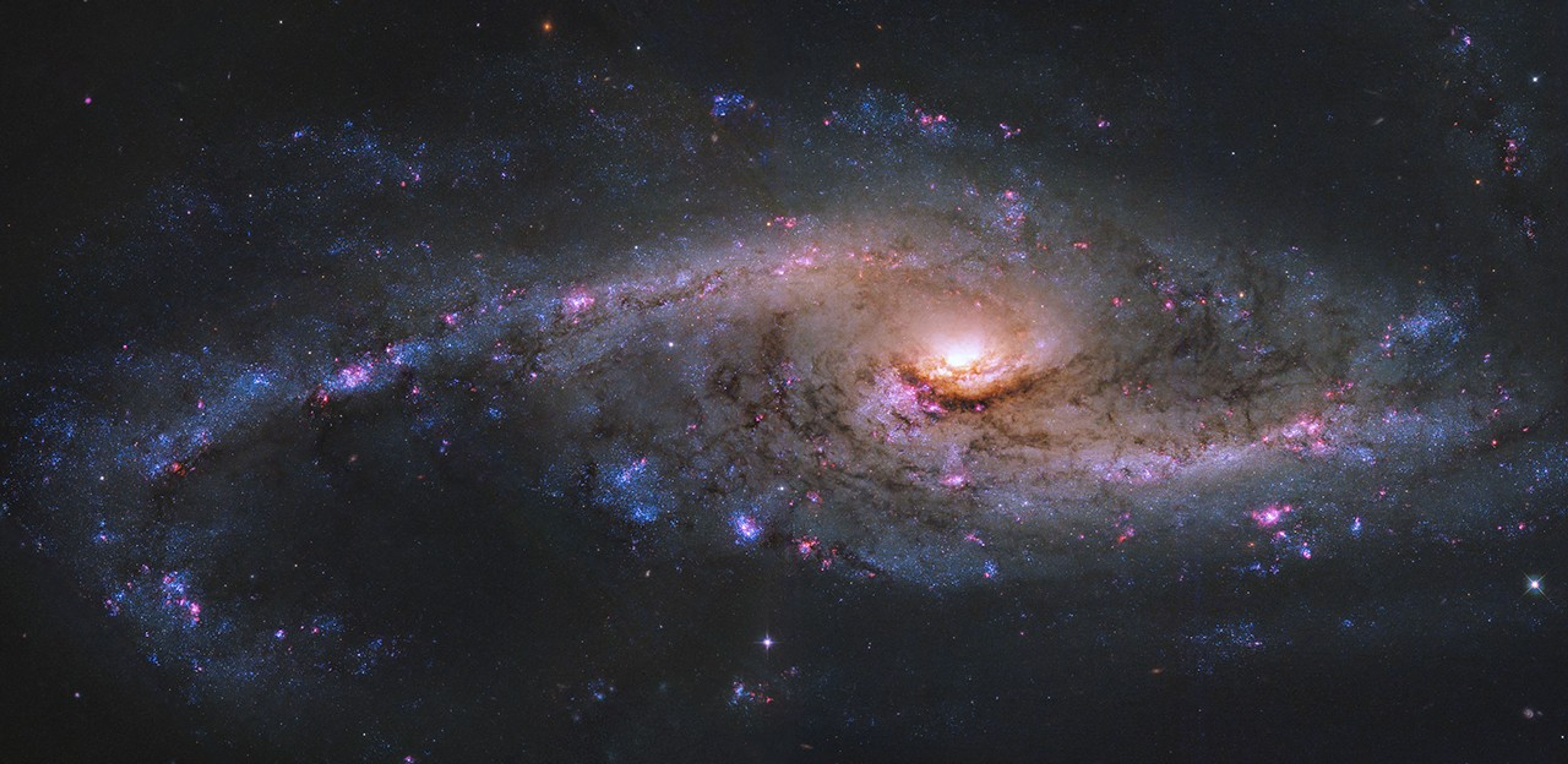 A spiral galaxy with one especially large sweeping, curving arm in view to the left. The galaxy's core glows golden. Pink clumps of ionized hydrogen and blue clusters of stars, along with dark dust lanes, are visible in the arms. Some of the galaxy is cut off  to the right.