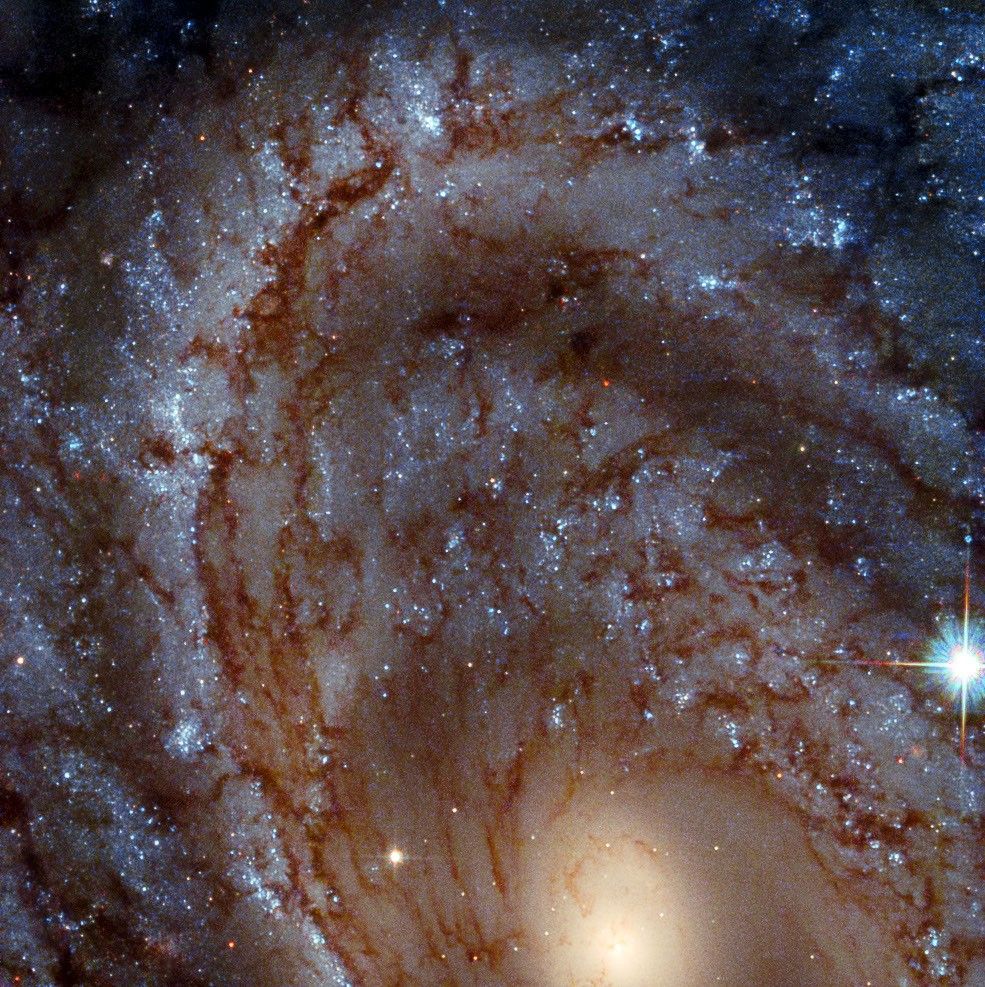 A spiral galaxy’s whirling arms fill the image. The yellow galactic core is visible at the bottom center of the image, with arms arcing upward. Dark-brown dust and bright-blue stars lace through the spiral’s arms. A foreground star with diffraction spikes shines at the lower-right side of the image.