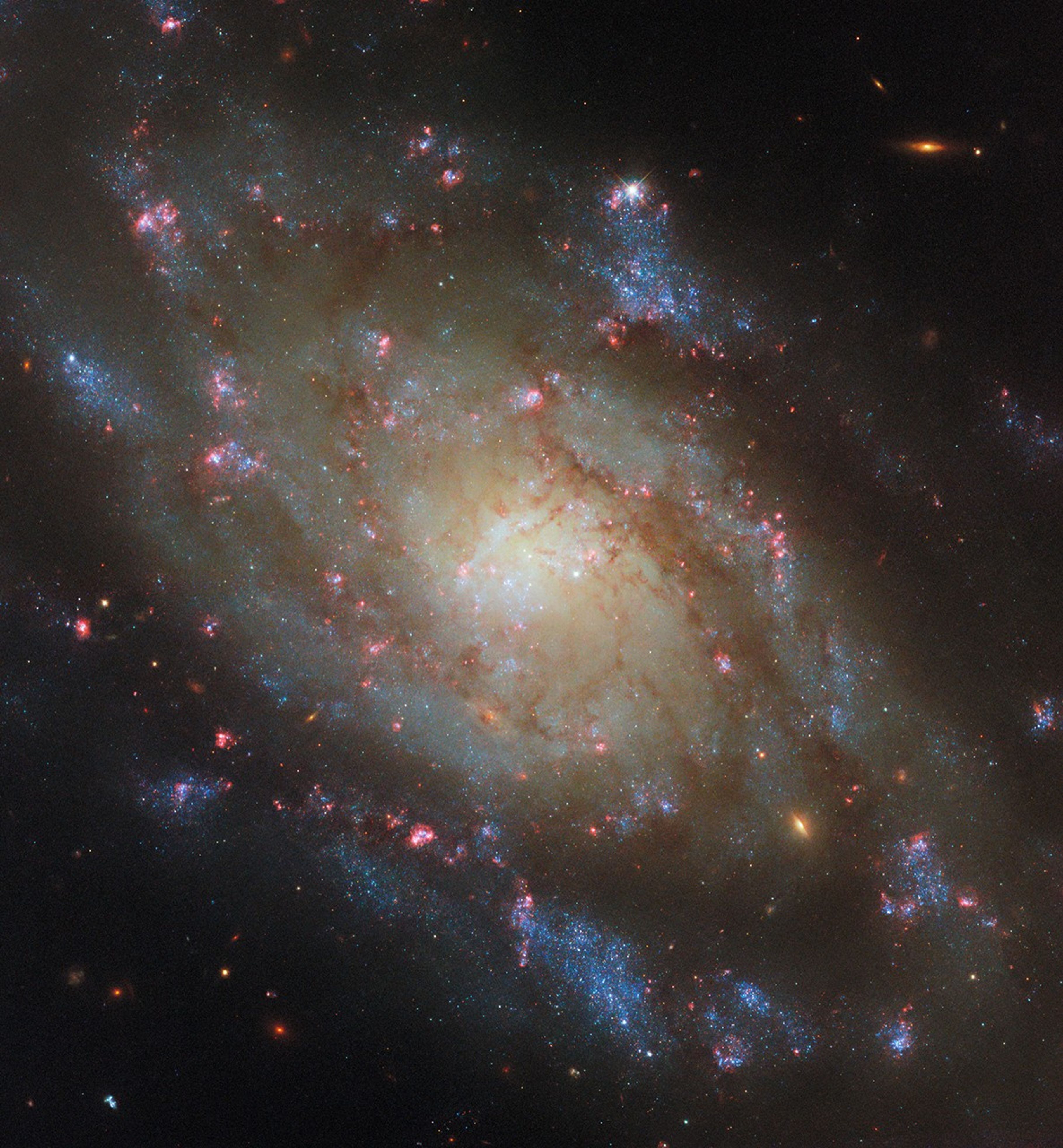 Hubble Spies a Spiral in the Water Snake - NASA Science