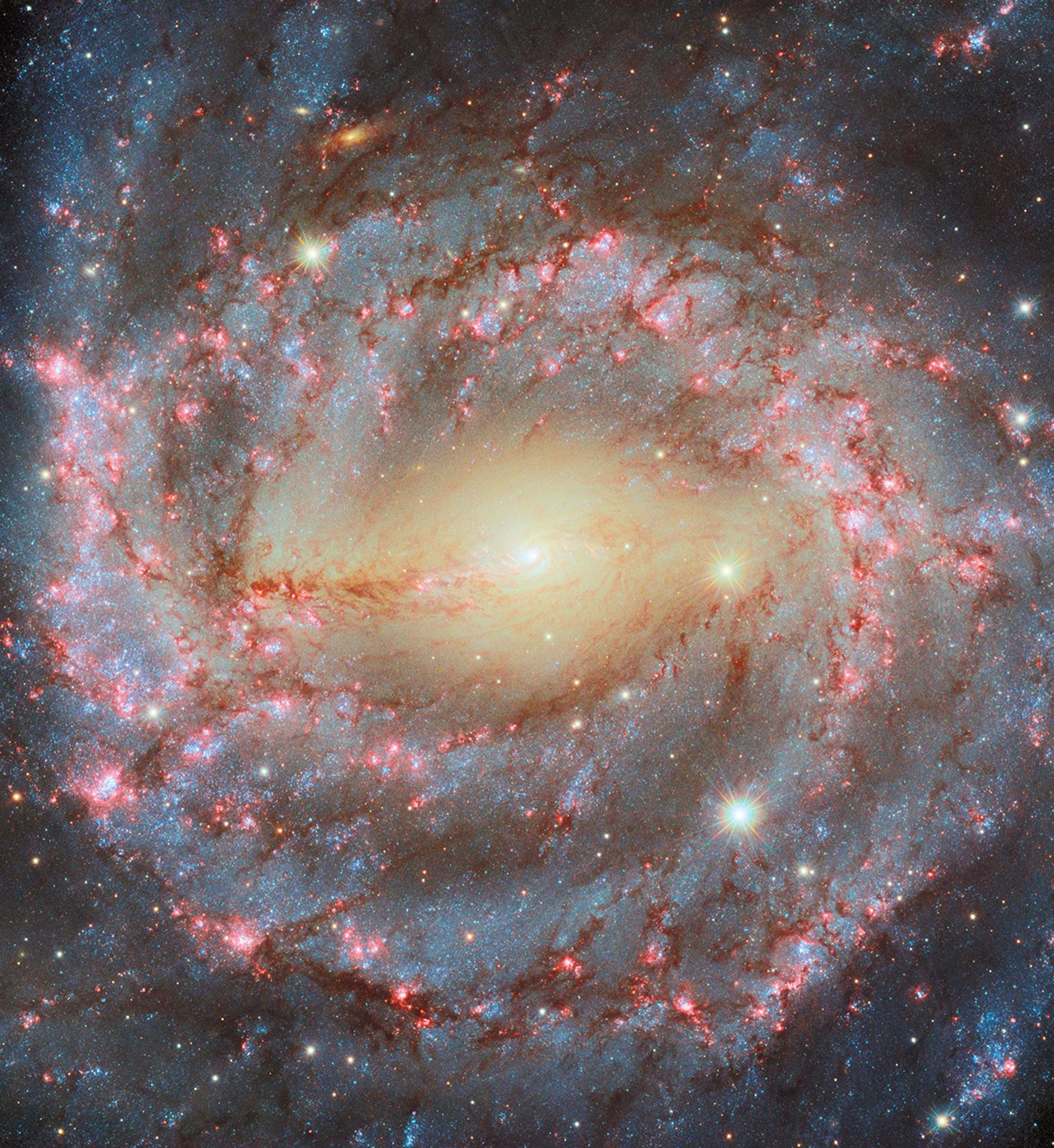 A close-up of a spiral galaxy, seen face-on. Its center is a bright white point, surrounded by a large yellowish oval with thin lines of dust swirling in it. From the sides of the oval emerge two bright spiral arms which wind through the round disk of the galaxy, filled with shining pink spots where stars are forming and more dark reddish dust. Many stars are visible in the foreground, over and around the galaxy.