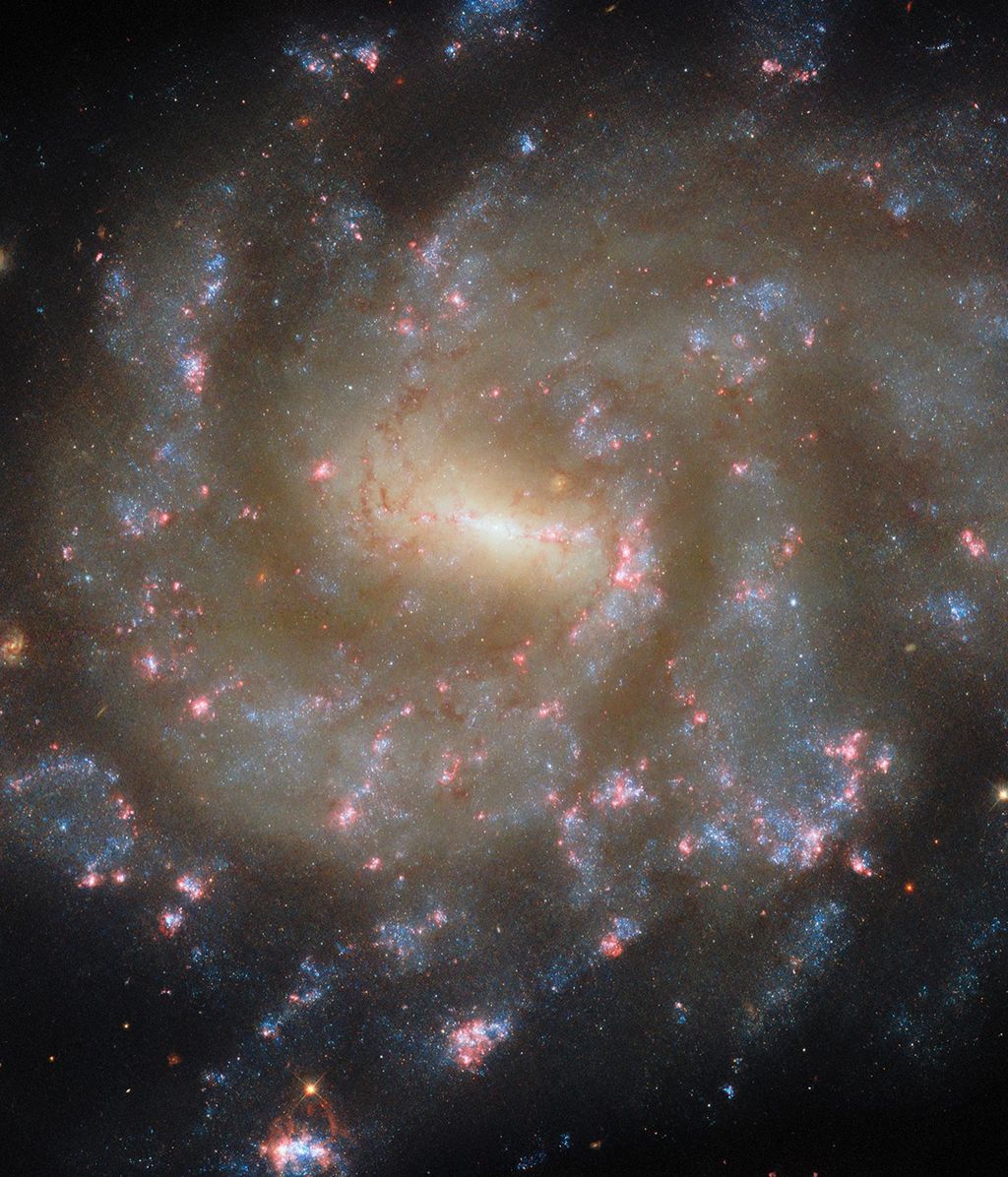 Hubble Captures Starry Spectacle
