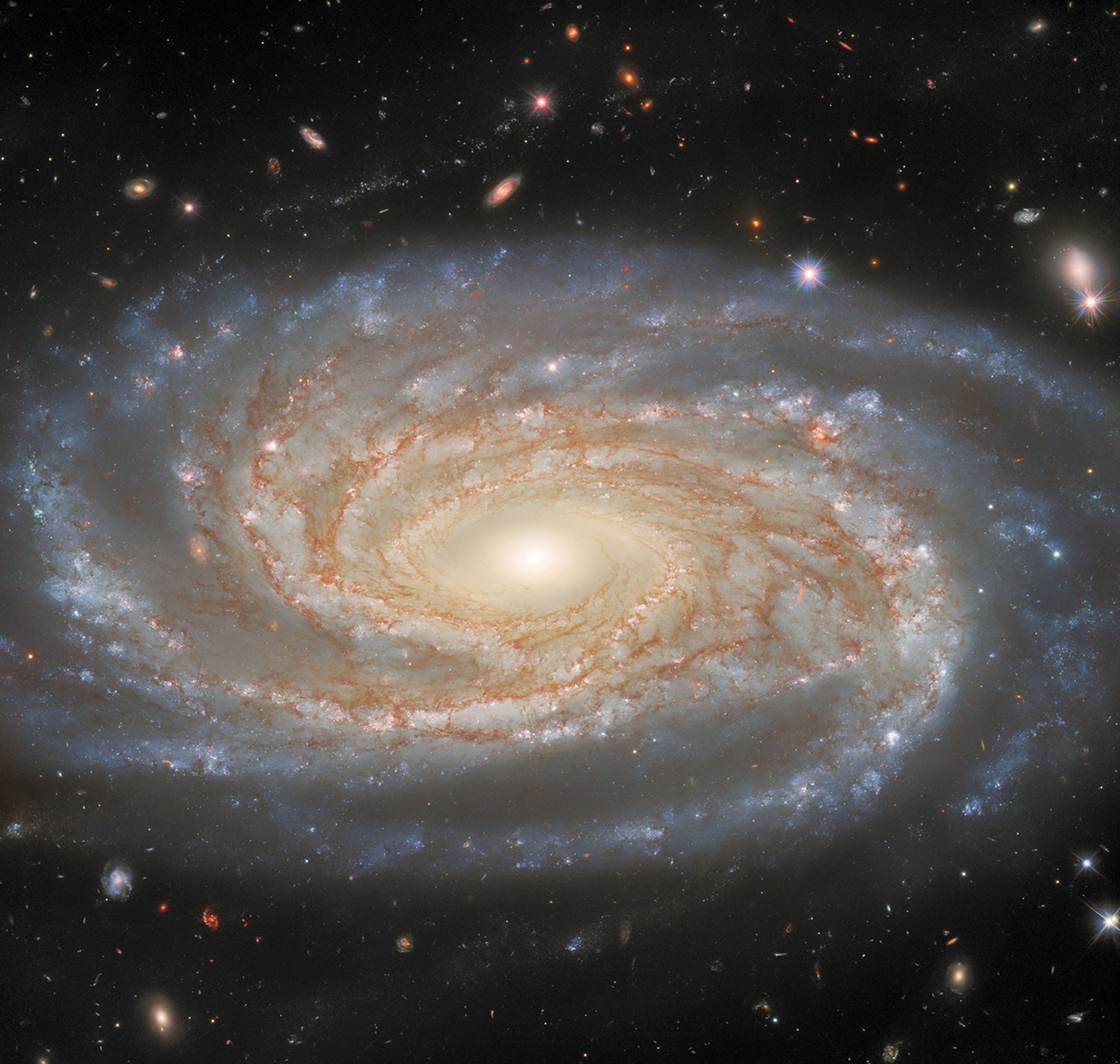 An enormous spiral galaxy fills half of the frame, in the center. It is oval-shaped, with four blue spiral arms winding around it. The galaxy’s center shines brightly with pale yellow light. Thin strands of orange dust are spread around the center, following the paths of the arms. Above and below the galaxy, very many small stars and galaxies are visible on the black background.