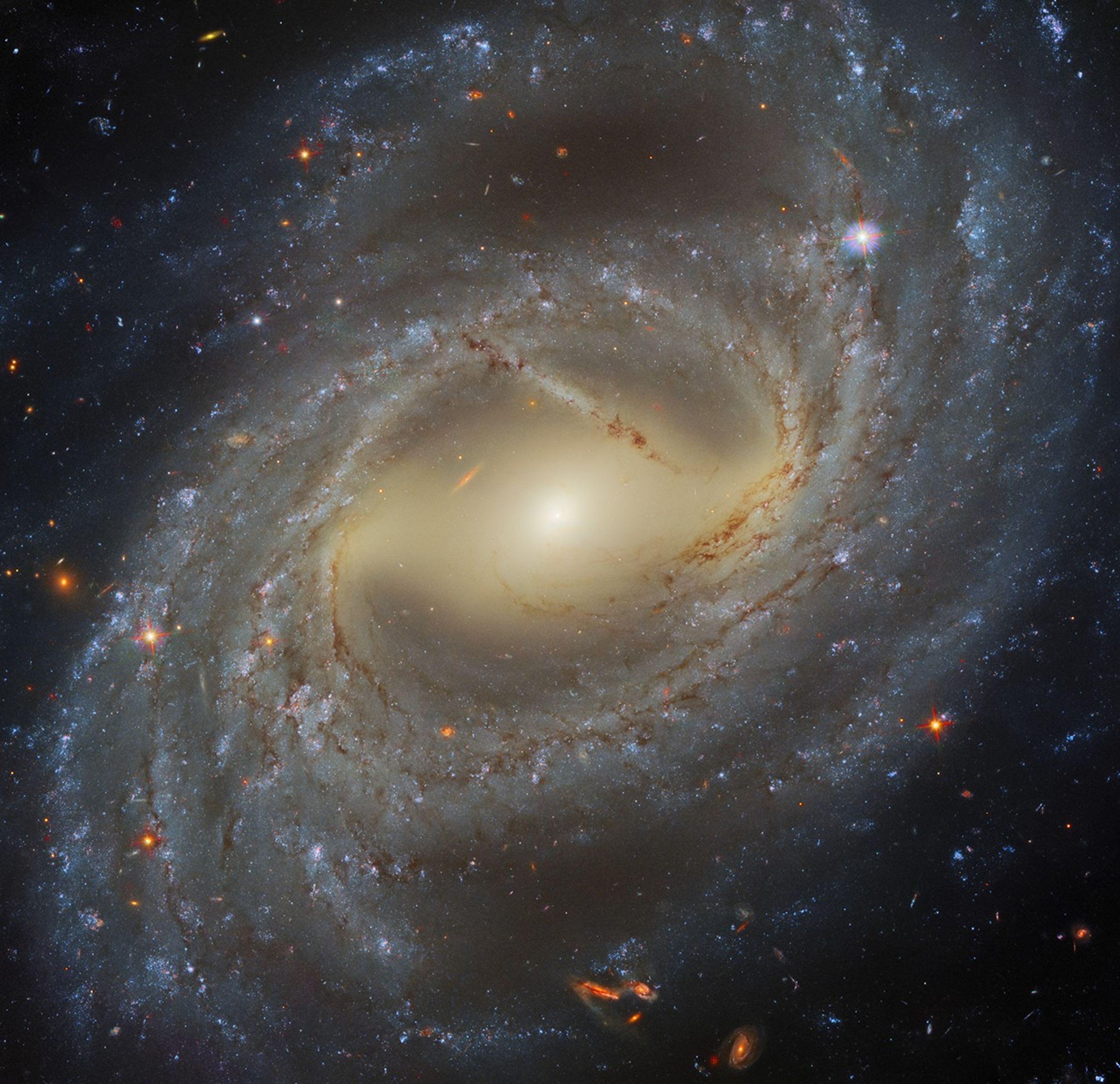 A face-on barred spiral galaxy. Rusty-brown dust lanes and bright-blue and pink patches denote the galaxy's spiral arms. Distant, reddish-orange galaxies dot the black background.