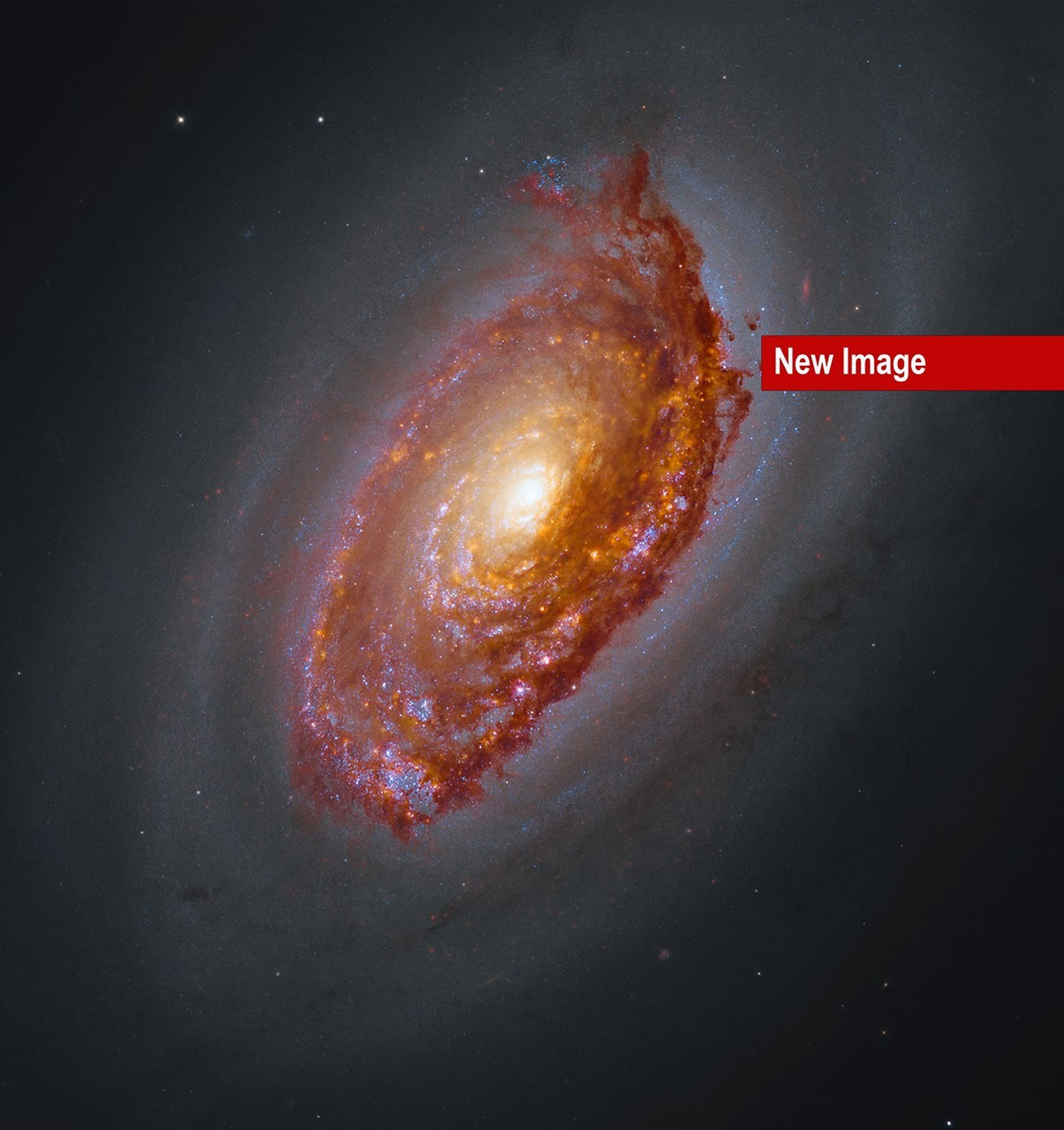 
			Messier 64 (The Black Eye Galaxy) - NASA Science			