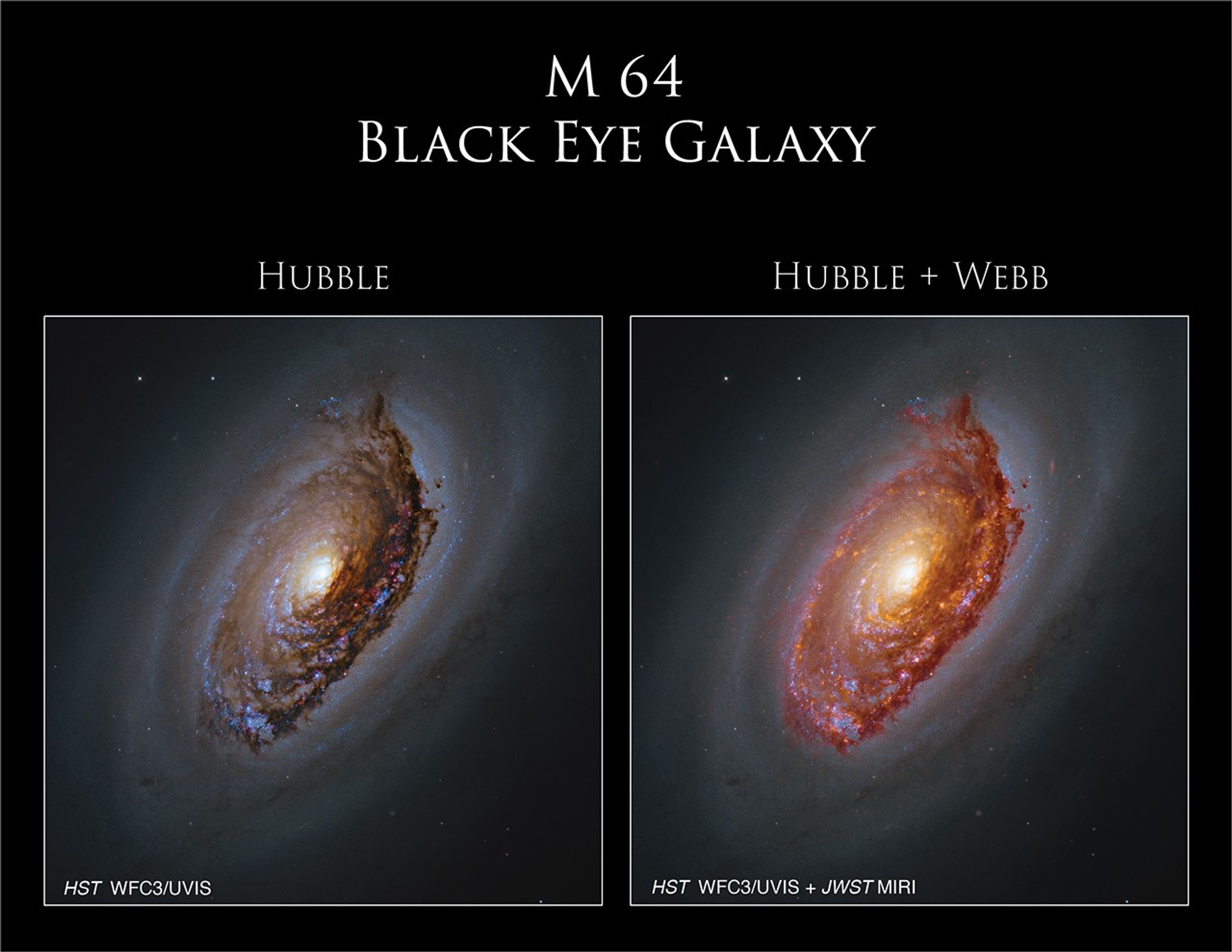 Left: Hubble image of M64. A dusty-dark spiral galaxy  with a bright-white core. Its spiral arms are dotted with bright-blue clusters of stars and reddish clouds. Right: Hubble and Webb image of M64. A massive spiral galaxy glows with a yellow core, surrounded by arms full of orange-brown dust and pink and blue patches of star formation. Framed by a haze of dark dust, the galaxy shines against black space dotted with a few stars.