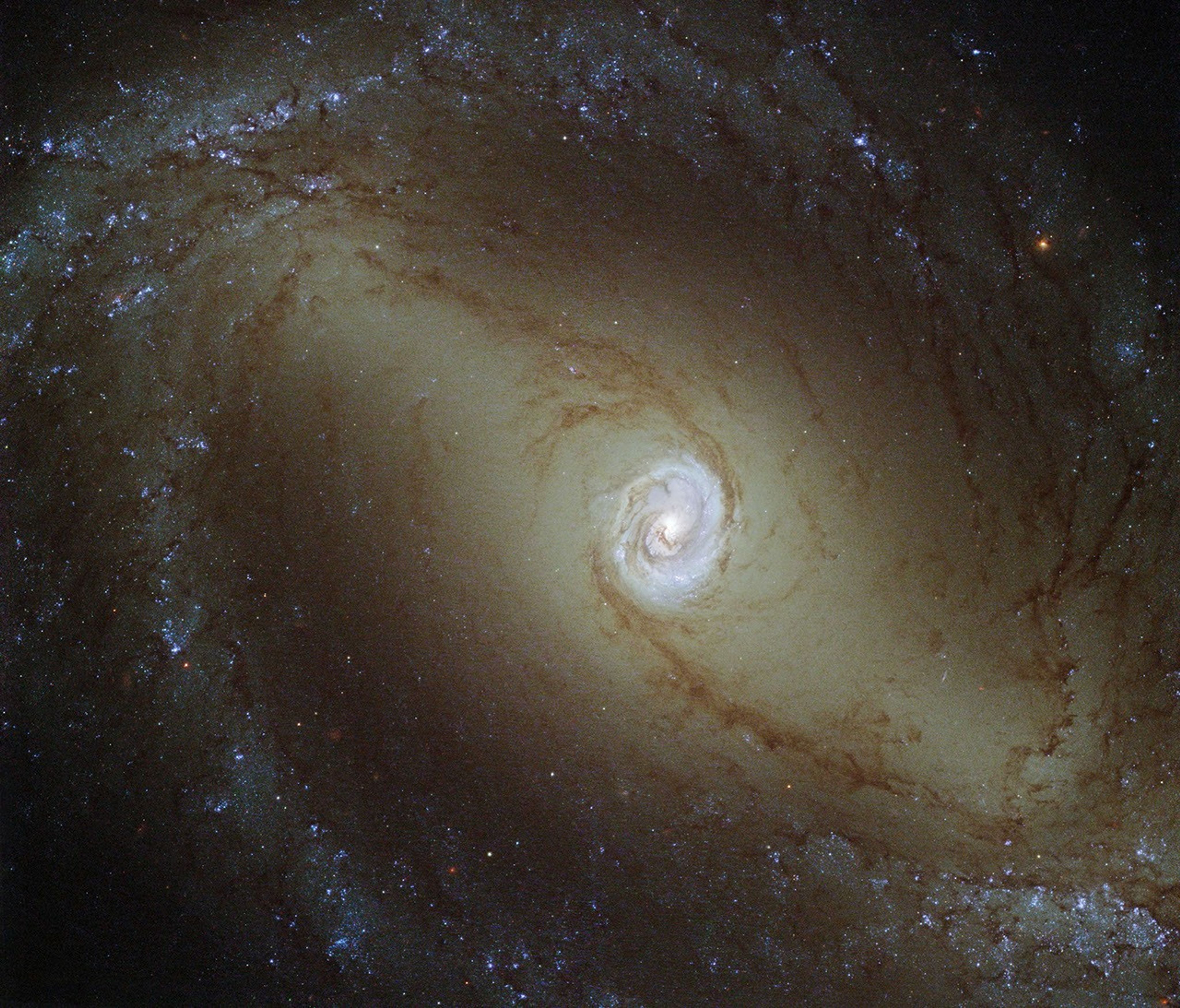 Oblong spiral arms of reddish-brown dust streak outward from a central glowing bluish heart. The outer edges of the galaxy are white streaks of stars with patches of pinkish gas.