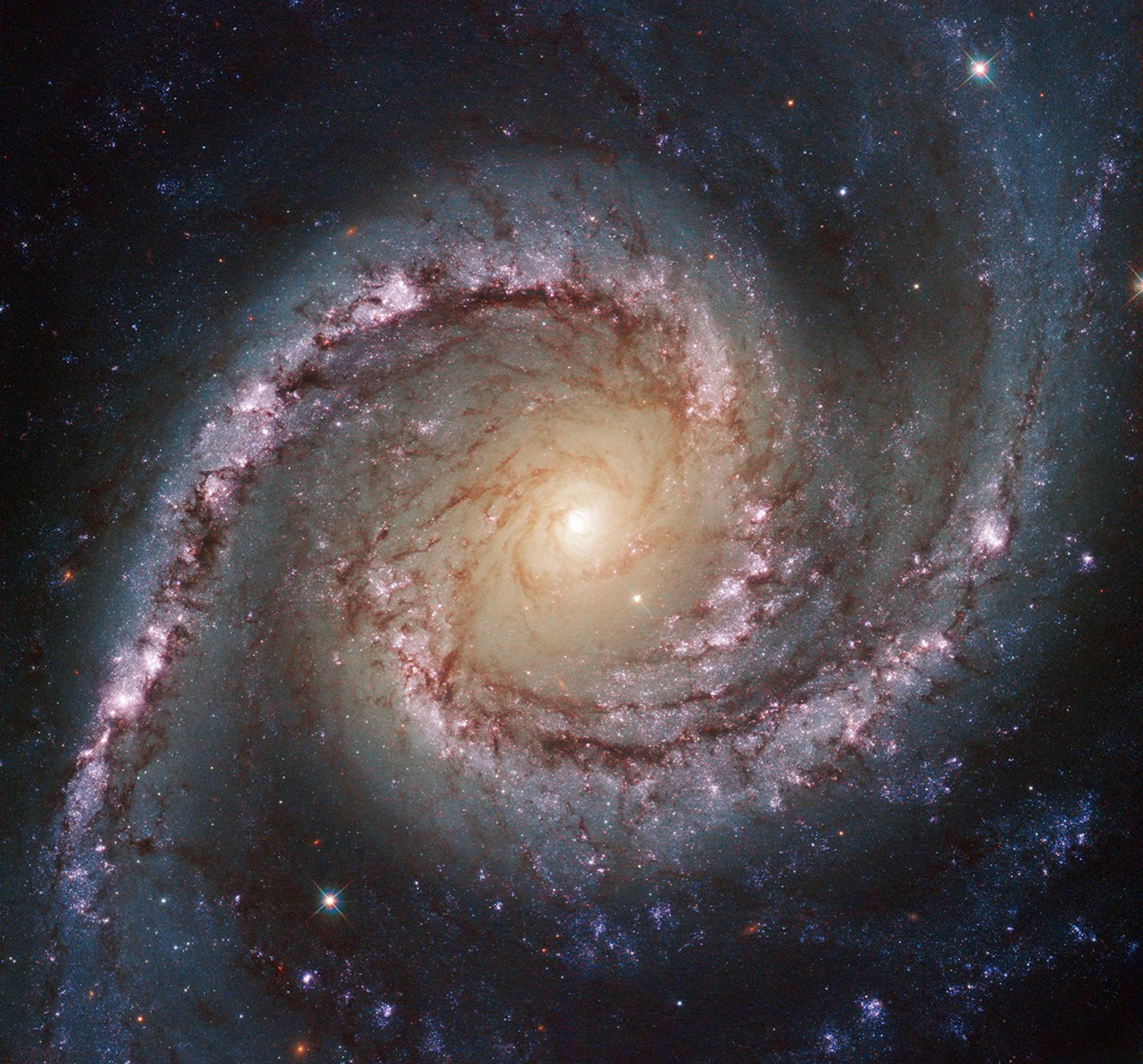 A bright spiral galaxy with two pronounced arms of bright pink stars and dark reddish dust.