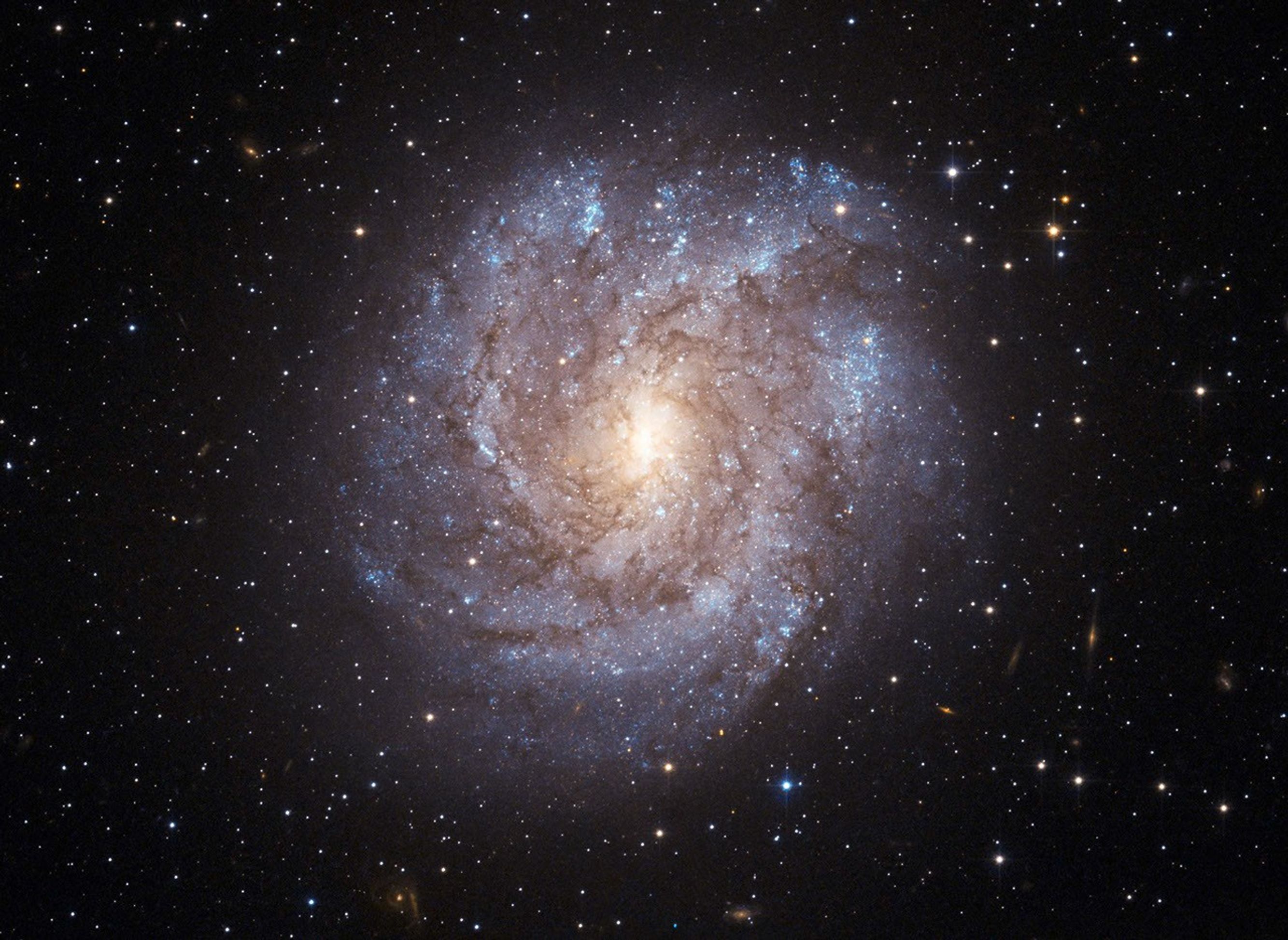 A spiral galaxy with a glowing yellow core, pinwheel arms of stars in pink and blue-white, and thinner swirls of dark dust. The galaxy is set against the black background of space, with hundreds of distant galaxies and stars.