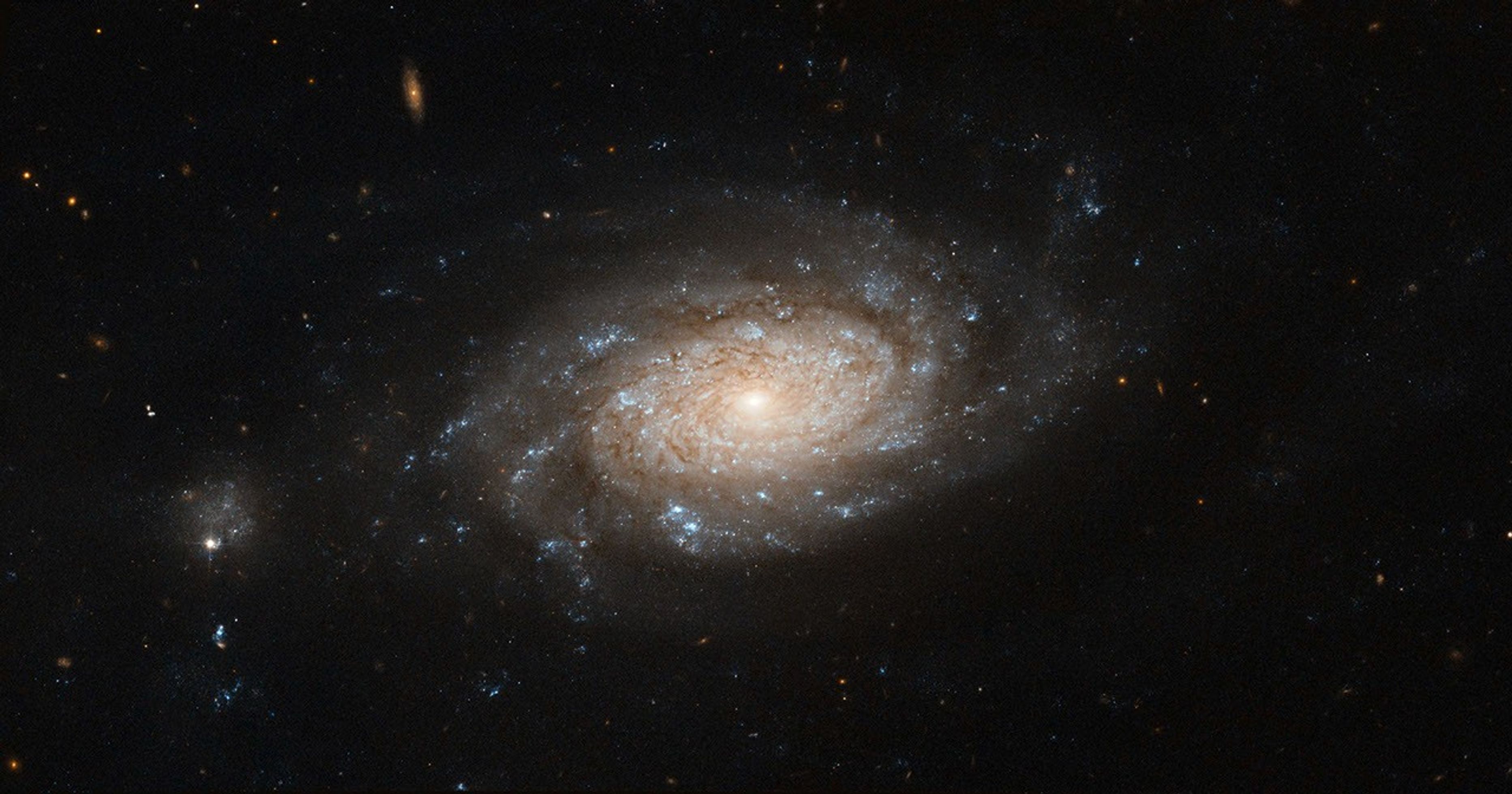 A spiral galaxy with a glowing white core, swirling arms of white stars, and thinner lines of of red-brown dust. The galaxy is set against the black background of space, with dozens of distant galaxies and stars.