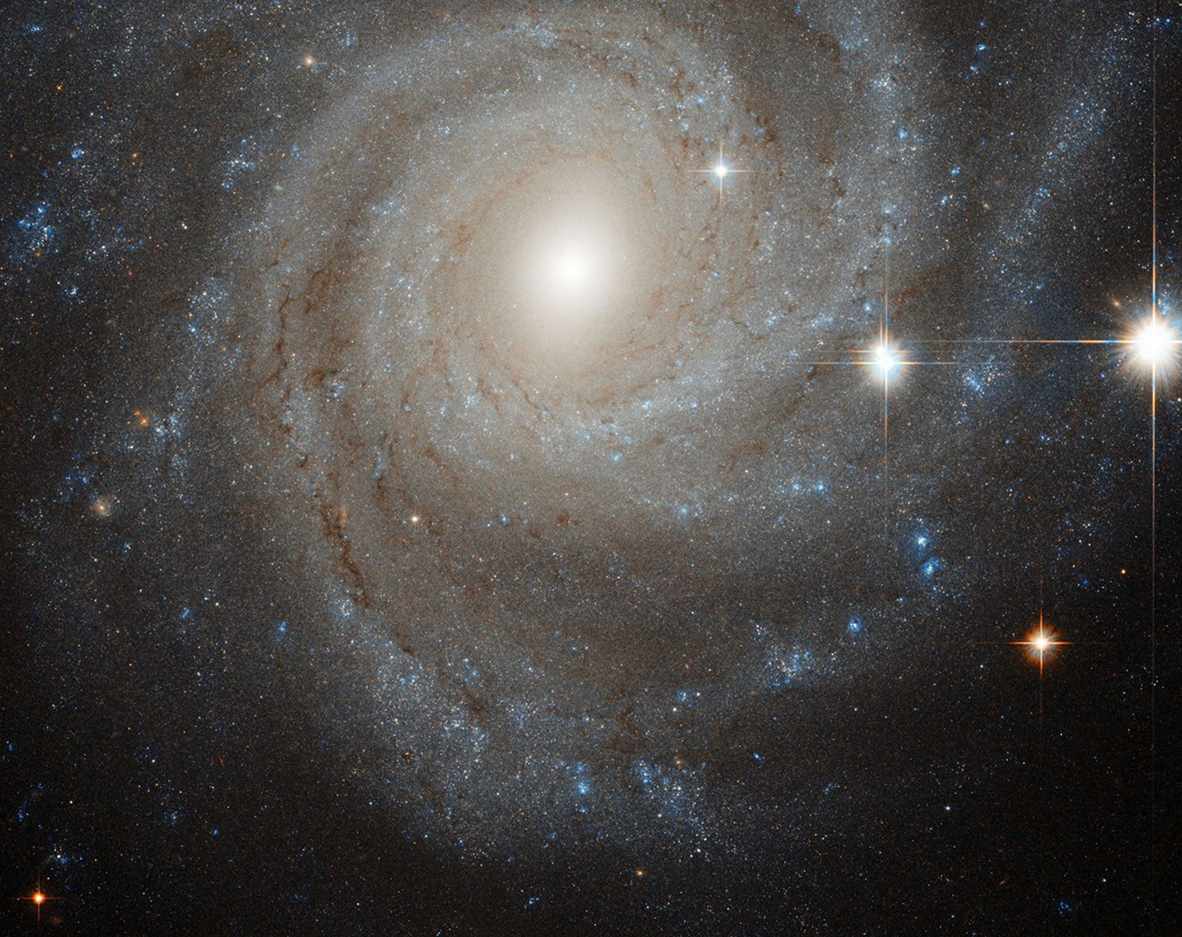 An off-center white spiral galaxy with streaks of brown dust, fringed by several nearby bright stars