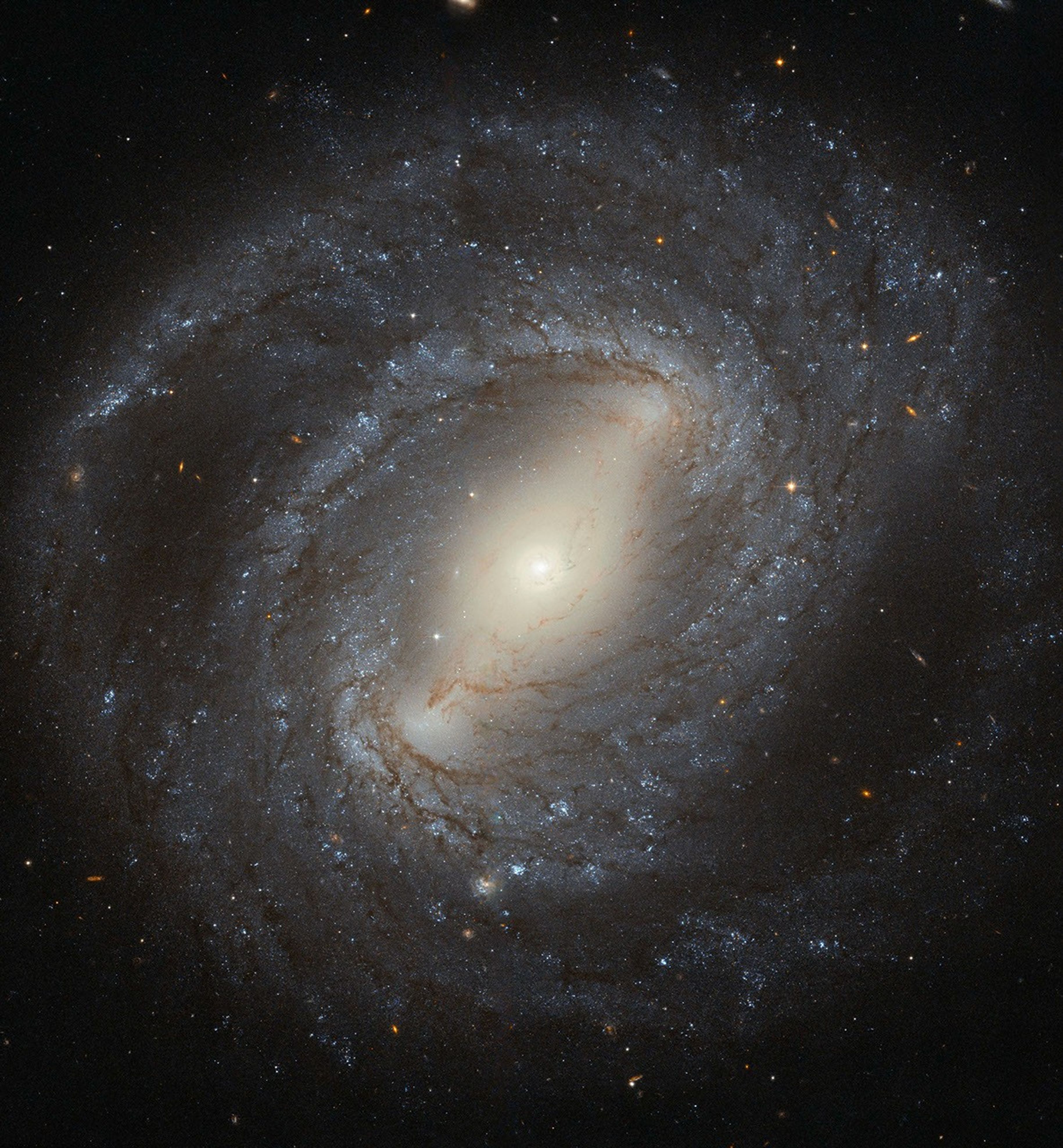 A barred spiral galaxy with spiral arms emerging from the ends of a bar that cuts through the galaxy. Its arms are made of white bands of stars and brown streaks of dust.
