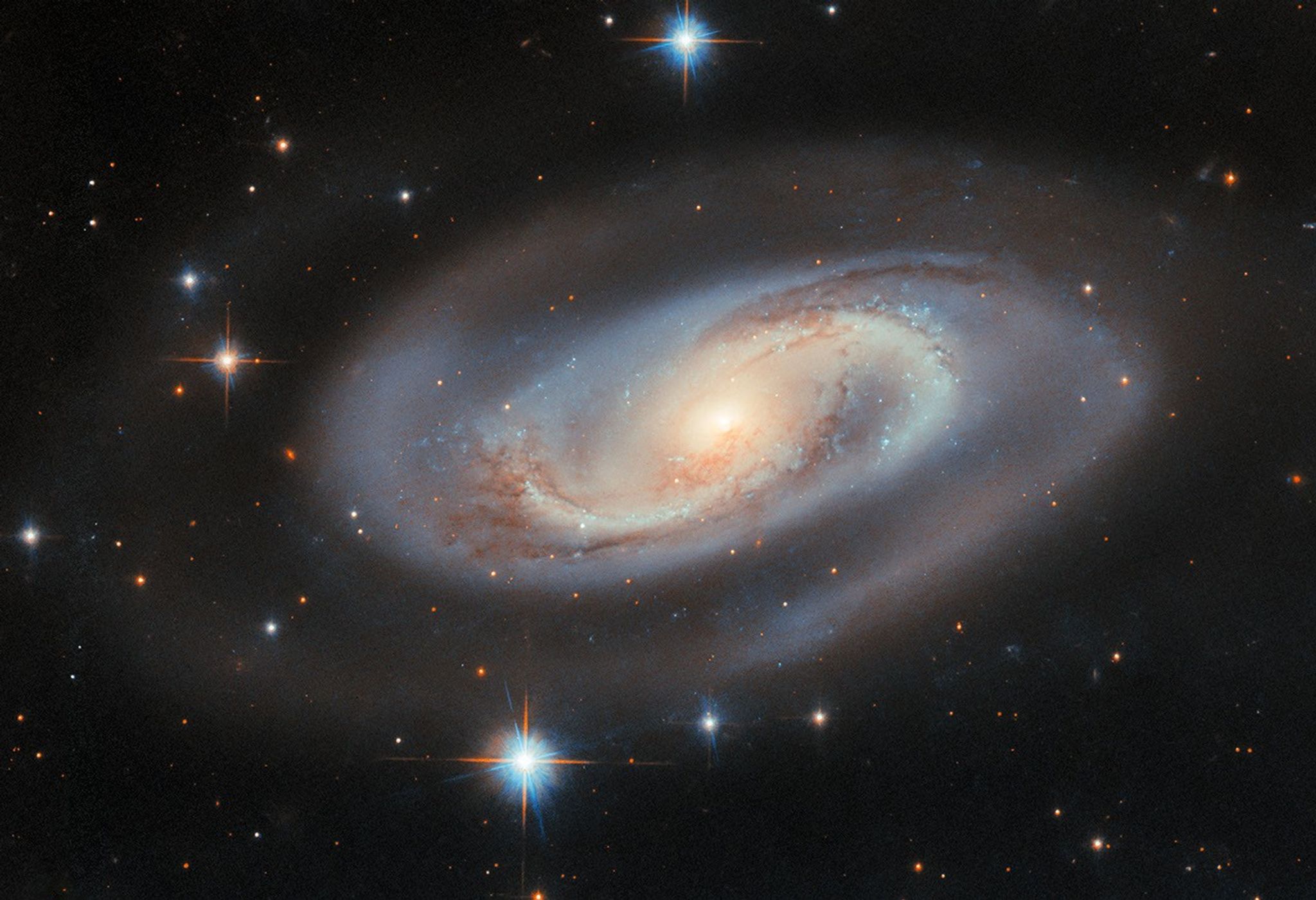 A spiral galaxy, seen at an angle that gives it an oval shape. It has two spiral arms that curl out from the center. They start narrow but broaden out as they wrap around the galaxy before merging into a faint halo. The galaxy’s disk is golden in the center with a bright core, and pale blue outside that. A swirl of dark dust strands and speckled blue star-forming regions follow the arms through the disk.