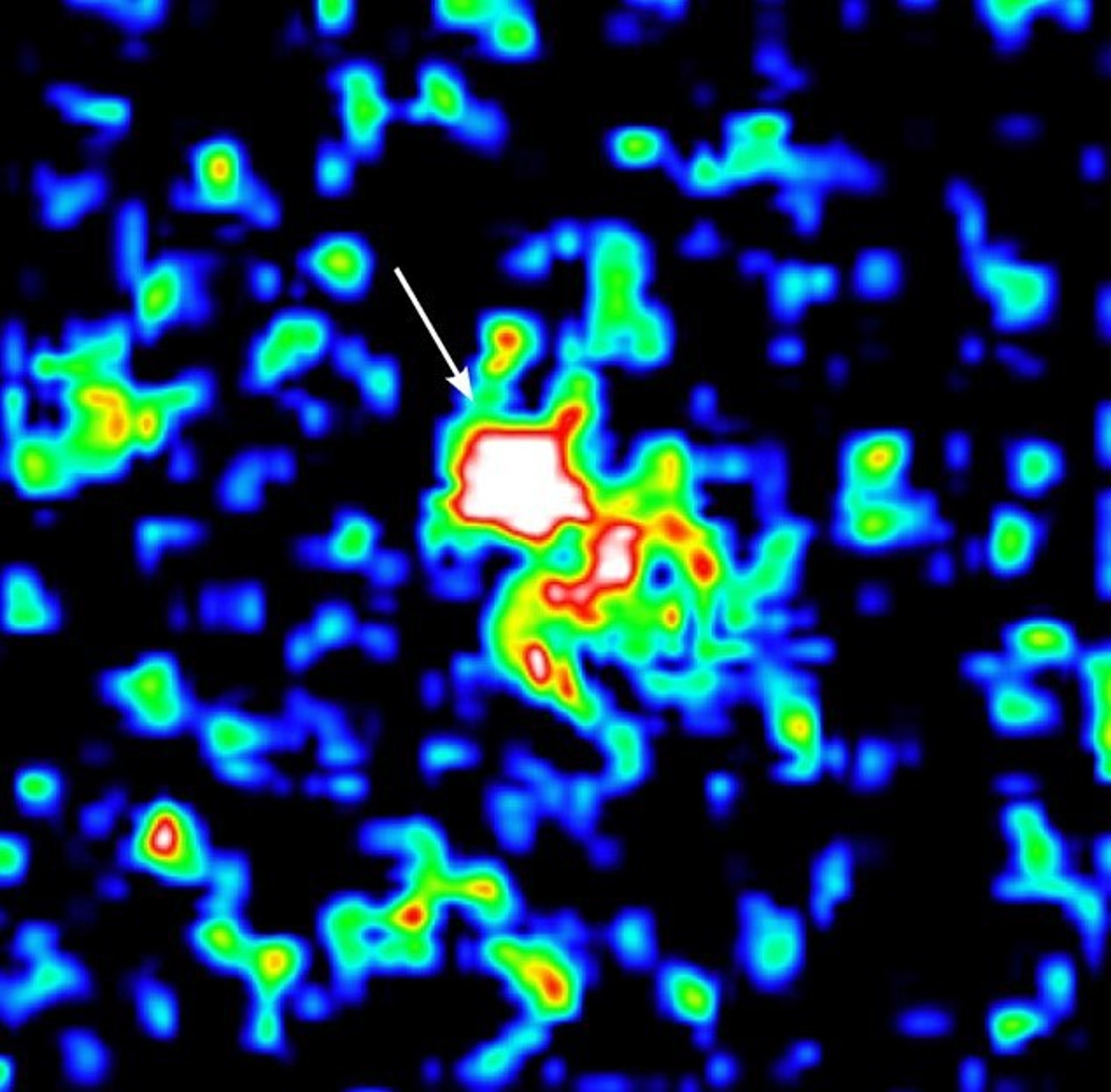 Black background with blobs that have a blue outer ring, green interior with points of red that are surrounded by yellow. Near image center is a large green blob with a bright-white area ringed in red.