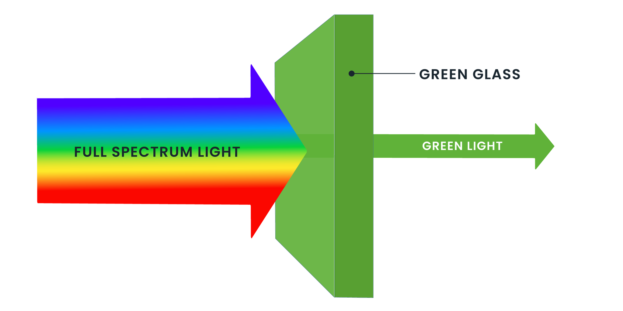 Light Passing Through a Filter - NASA Science
