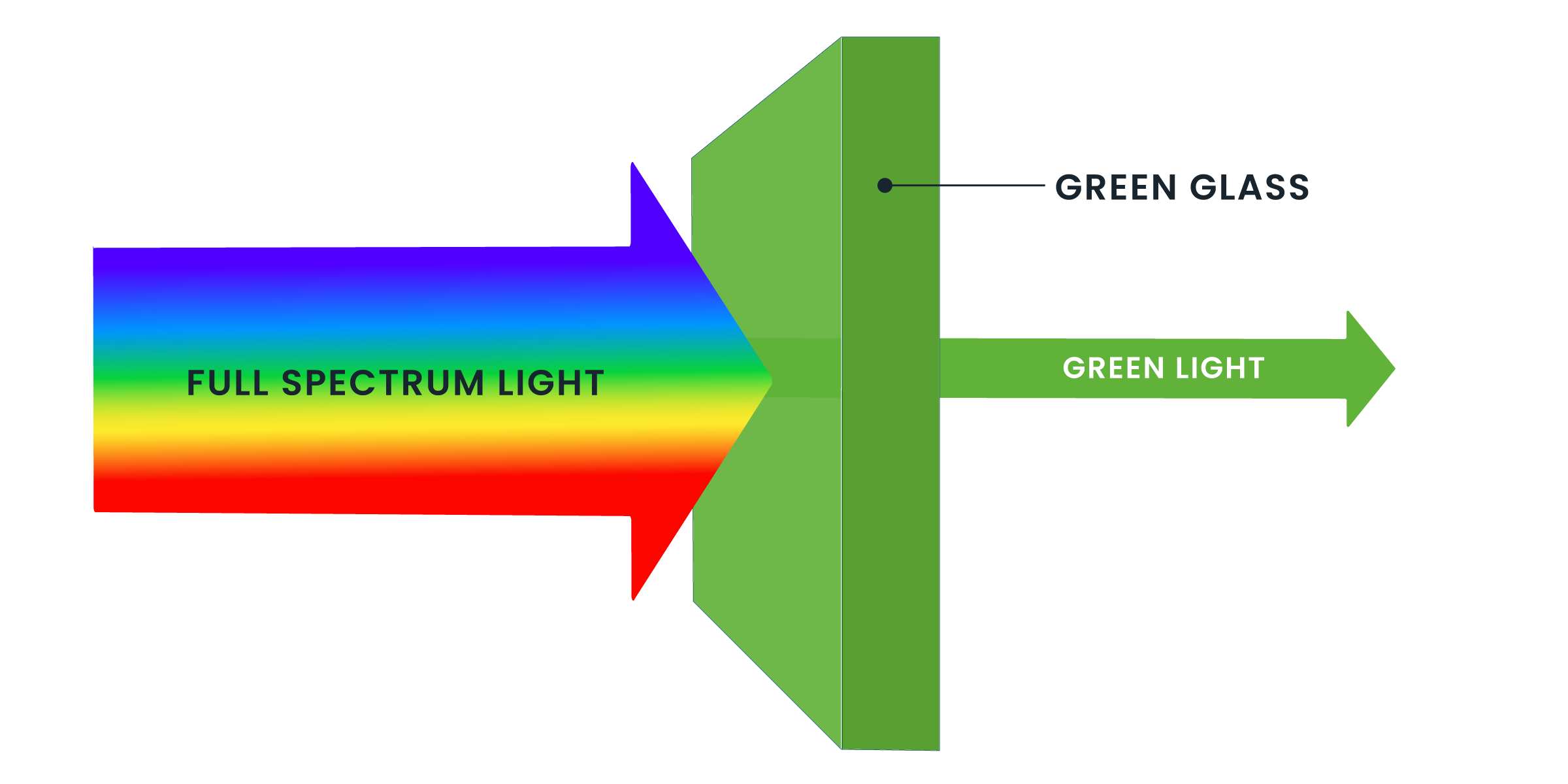 Light Passing Through a Filter