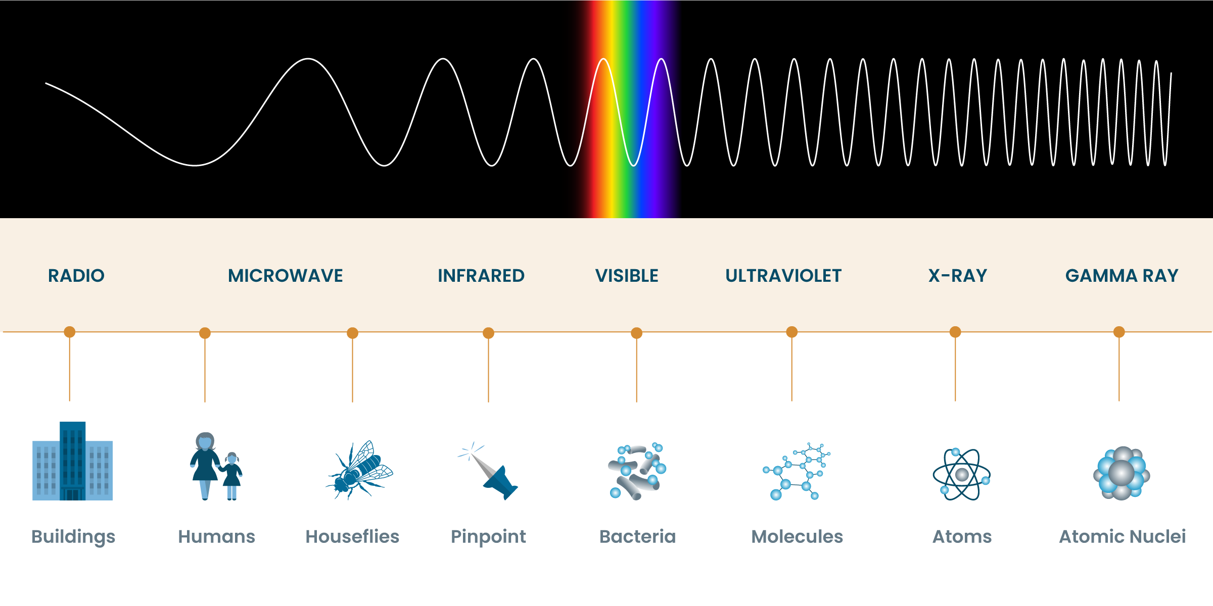 Wavelength Comparison