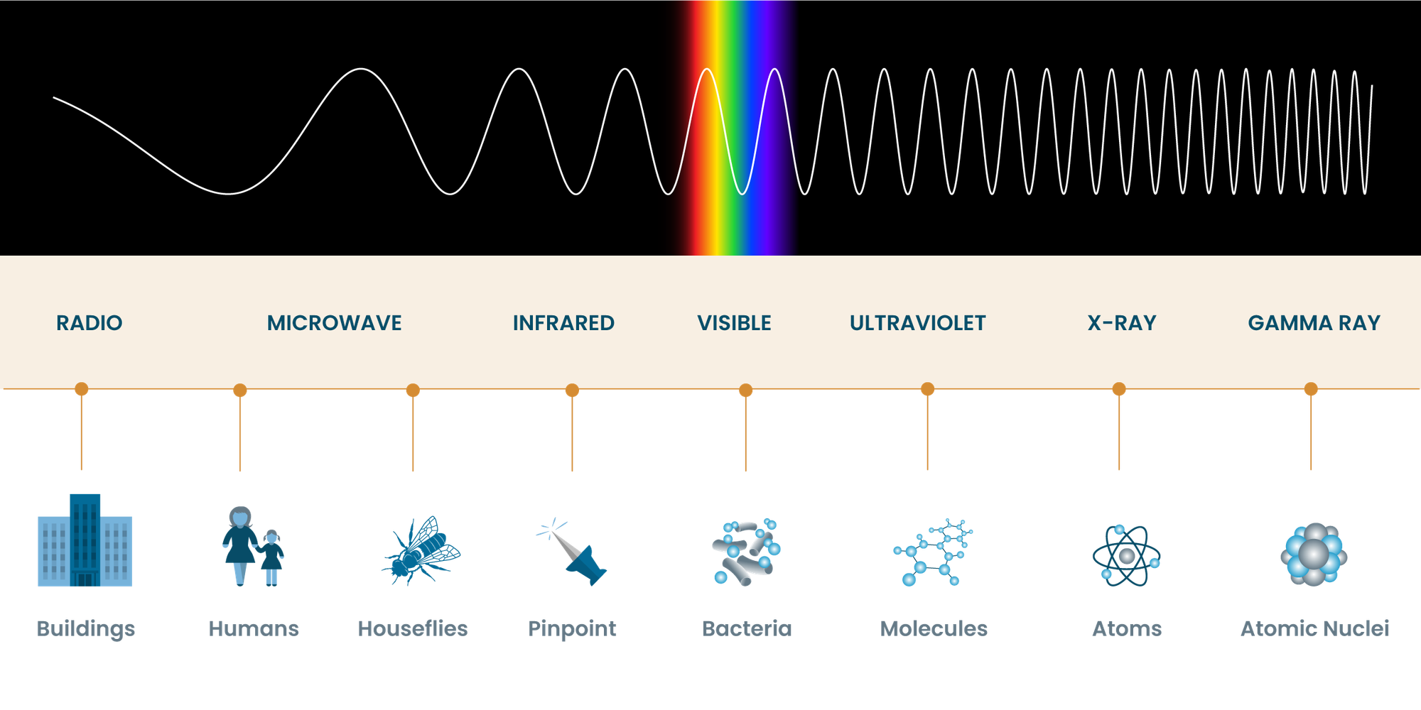 Wavelength Comparison