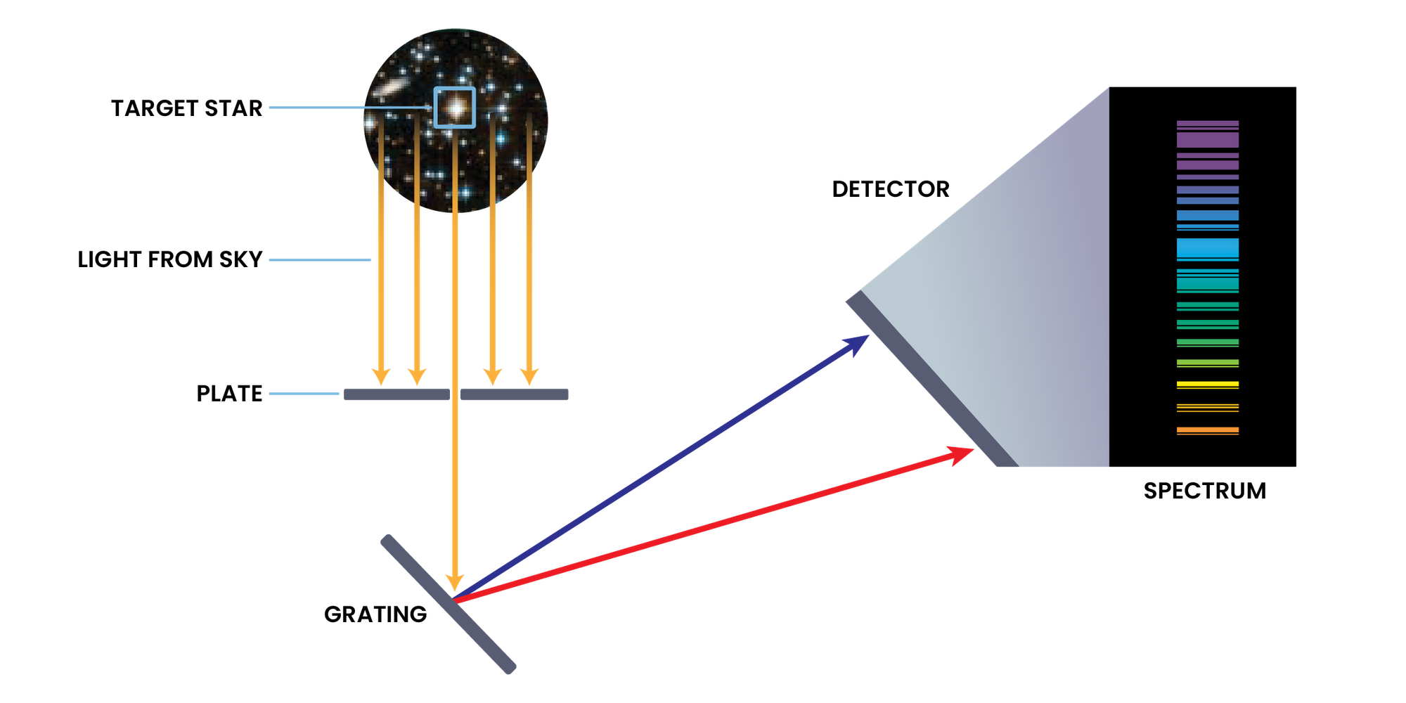 How a Spectrograph Works