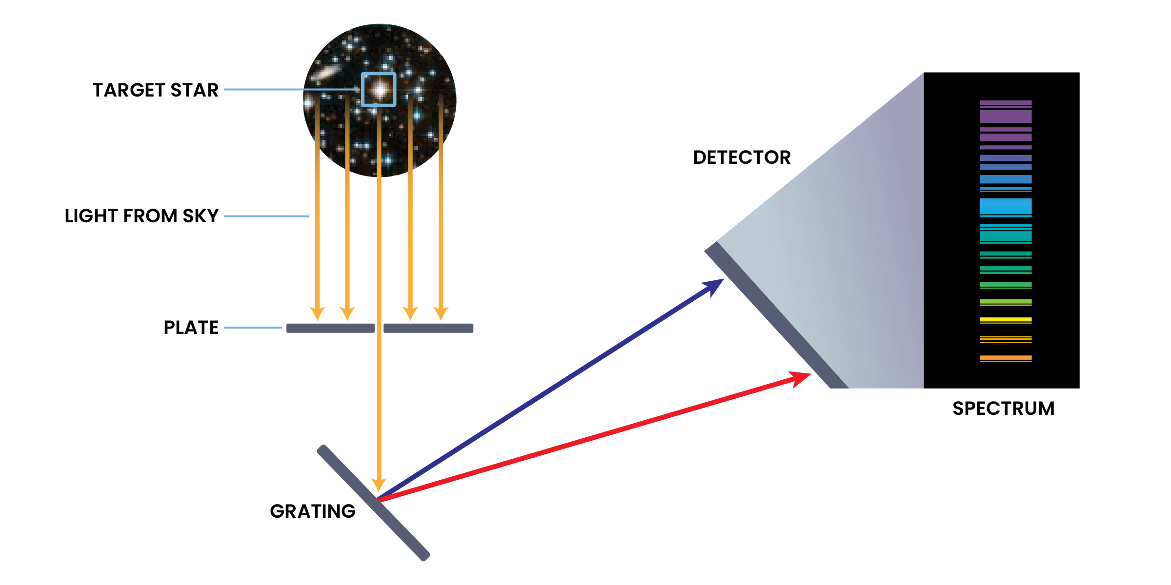 How a Spectrograph Works