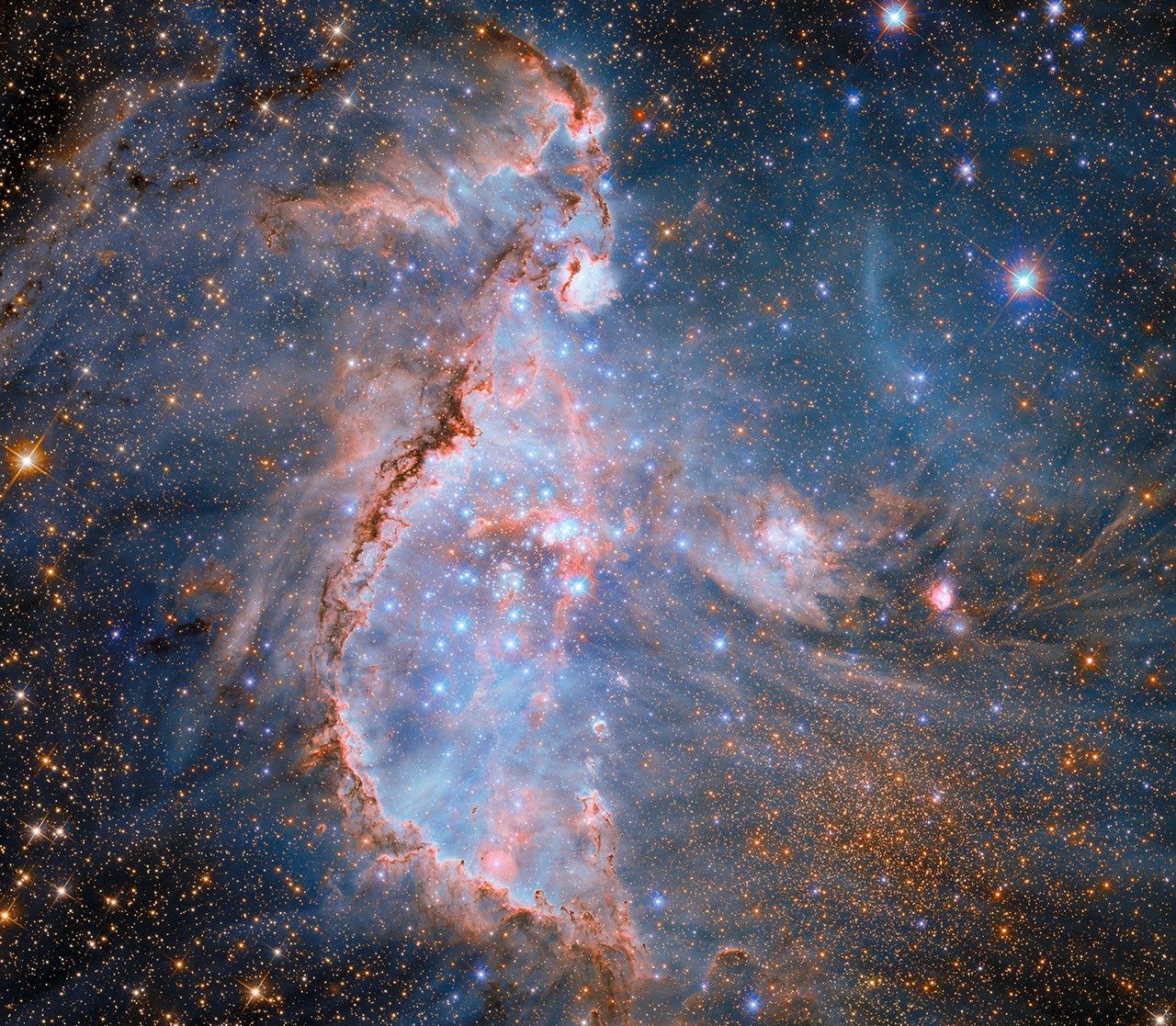 A star cluster within a nebula. Thin, pale-blue wisps of clouds fill the background while denser areas of pinkish clouds appear superimposed upon them. The star cluster holds bright-blue stars that illuminate the nebula. Large arcs of dense, reddish-brown dust pressed together by the stars’ radiation, curve around, in front of, and behind the clustered stars. Many orange stars are visible in the background behind the clouds of the nebula.