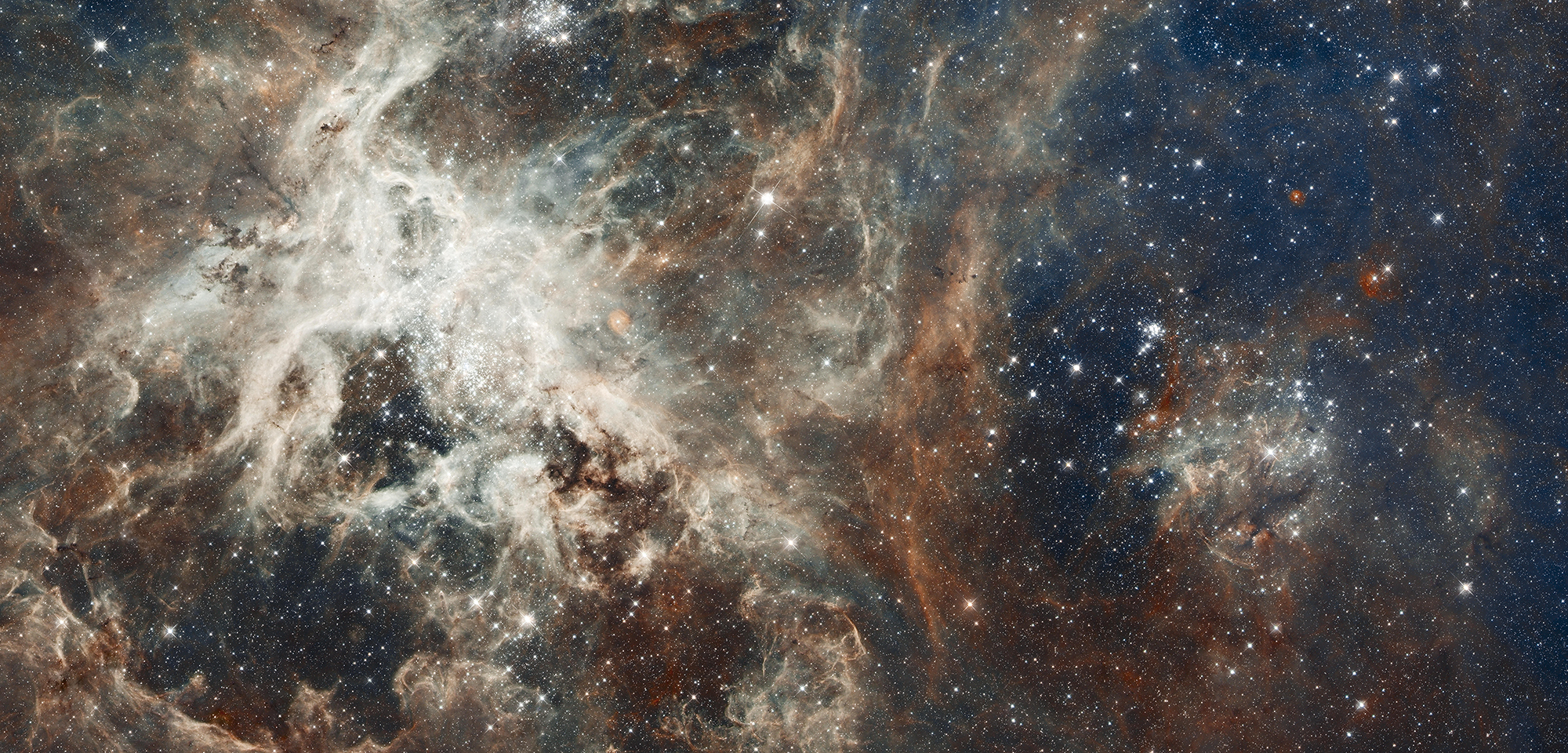 Heart of the Tarantula Nebula
