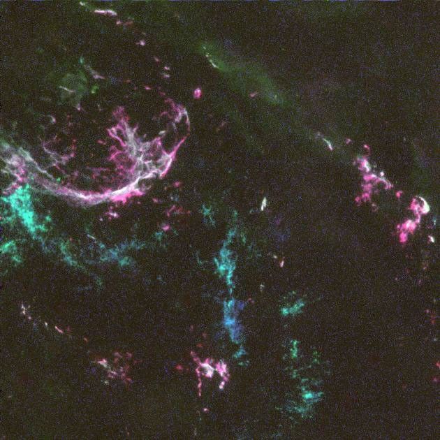 Tendrils of gas are scattered across the image in no pattern, as if streaming from the upper-left portion. Some are purple-pink in color, others are blue-green.