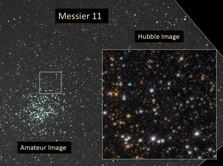 Left: amateur image, right: Hubble image of the open cluster Messier 11. The amateur image shows a grouping of stars against a dark grey background. The Hubble image reveals blue-white, orange, white, and yellow stars against a black background.