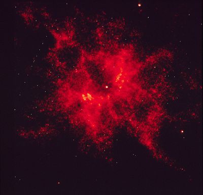 Central Star of Nebula NGC 2440: One of Hottest Known Stars