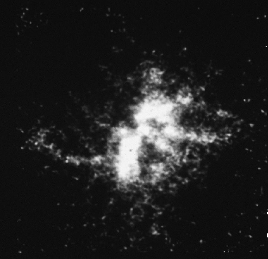 A Planetary Nebula (N66) in the Large Magellanic Cloud