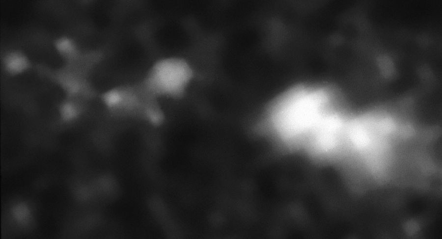 Radio Galaxy 4C41.17