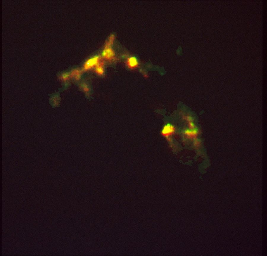 Complex Cloud of Gas Heated by Shock Waves