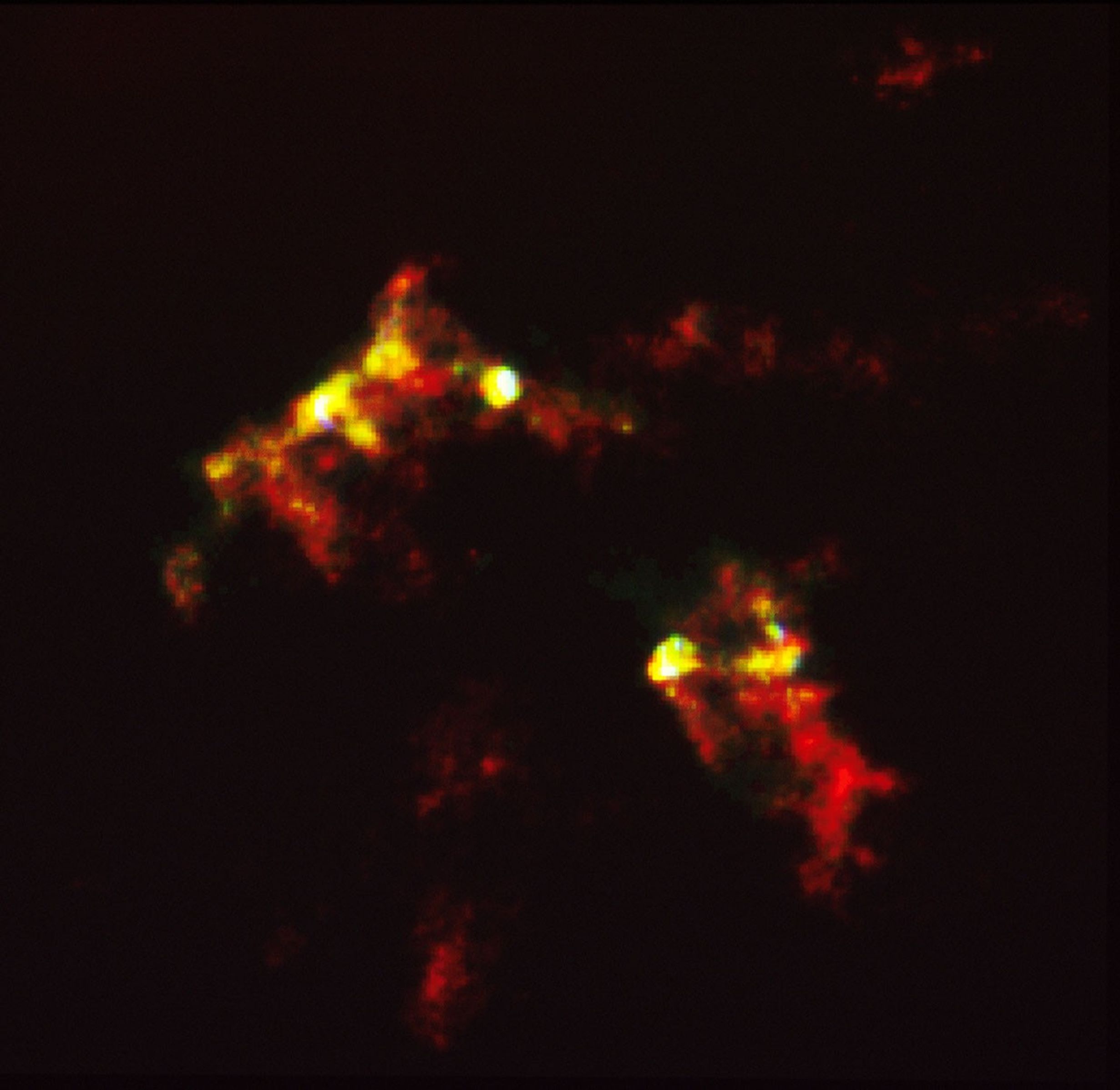 
			HST Reveals Growth Processes of Young Star, Herbig-Haro Object #2 - NASA Science			