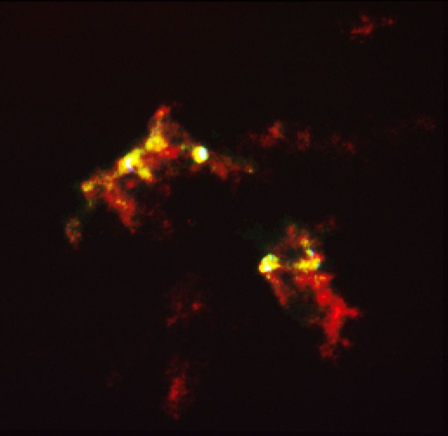 HST Reveals Growth Processes of Young Star, Herbig-Haro Object #2