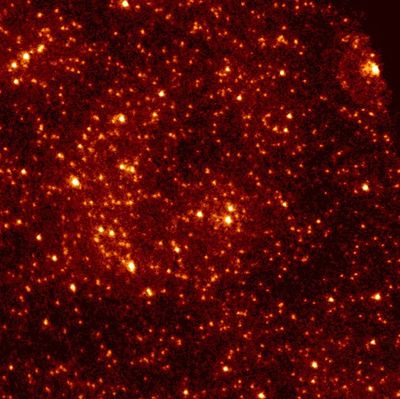 47 Tucanae