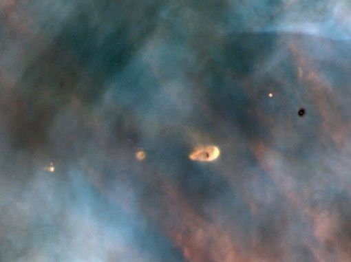 
			Close-up of "Proplyds" in the Orion Nebula - NASA Science			