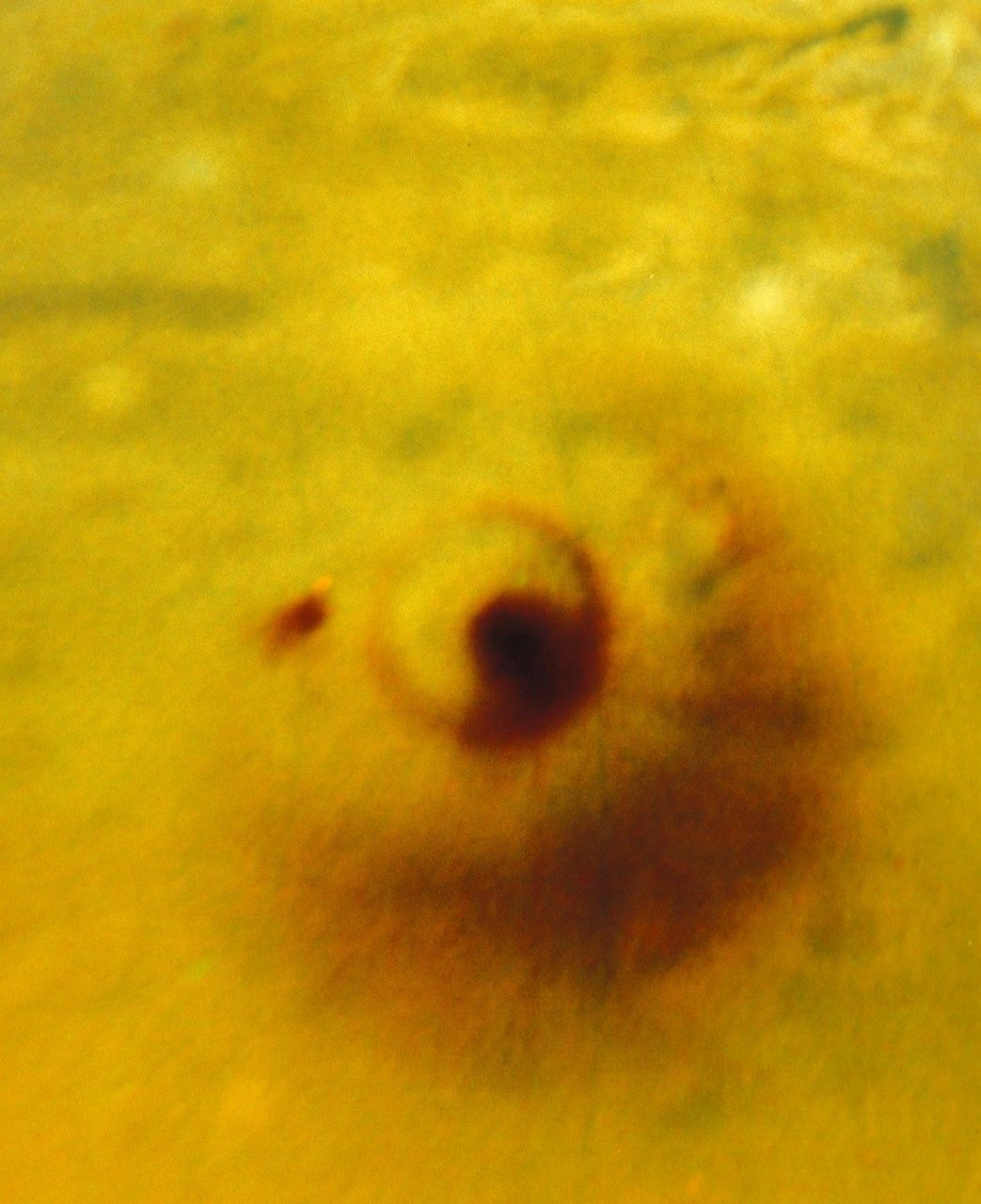 "Overhead" Projection of Large Comet Impact on Jupiter