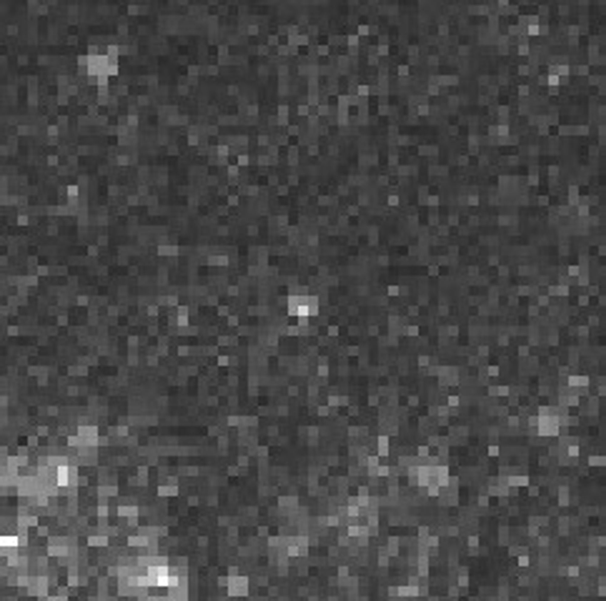 Individual M100 Cepheid