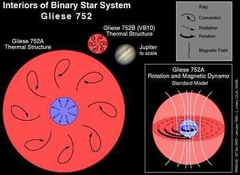 The Interior Workings of Stellar Dynamo Gliese 752