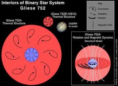 The Interior Workings of Stellar Dynamo Gliese 752