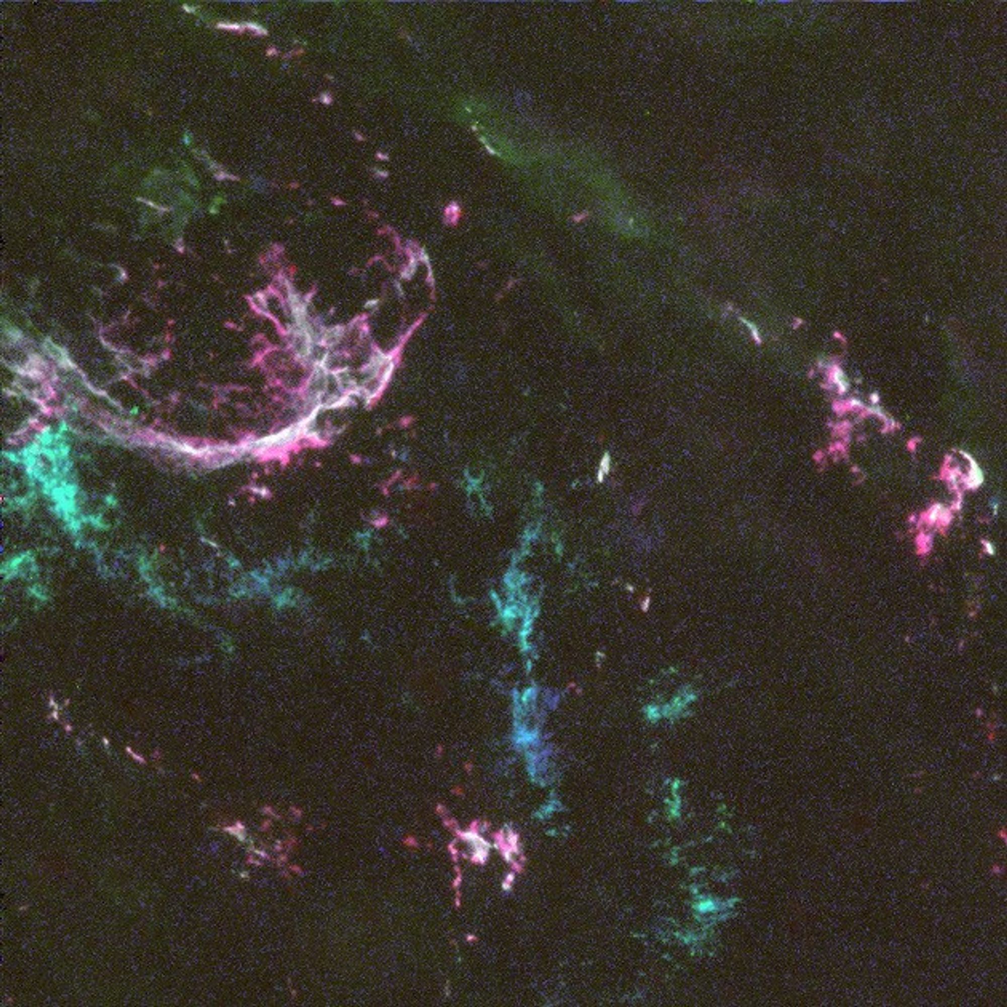 Oxygen-Rich Supernova Remnant in the Large Magellanic Cloud