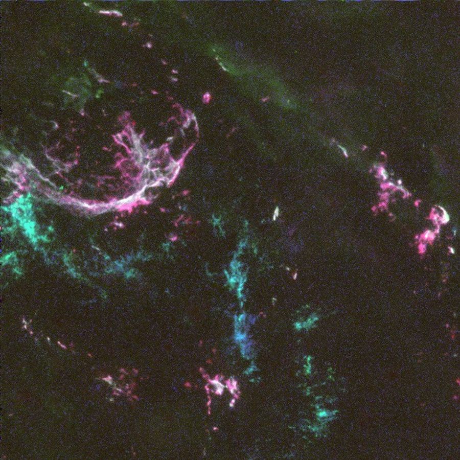 Oxygen-Rich Supernova Remnant in the Large Magellanic Cloud