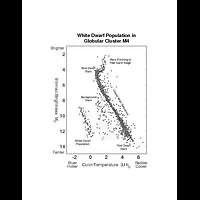 White Dwarf Population in Globular Cluster M4