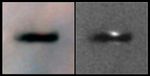 Edge-on Protoplanetary Disk in the Orion Nebula