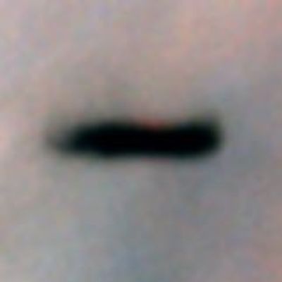 Proplyd in Orion Nebula