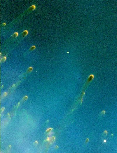 Comet-Like Knots Around a Dying Star in the Helix Nebula