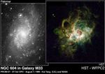 Giant Starbirth Region in Neighboring Galaxy