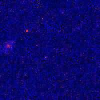 A Fading Fireball From Gamma Ray Burst 990123